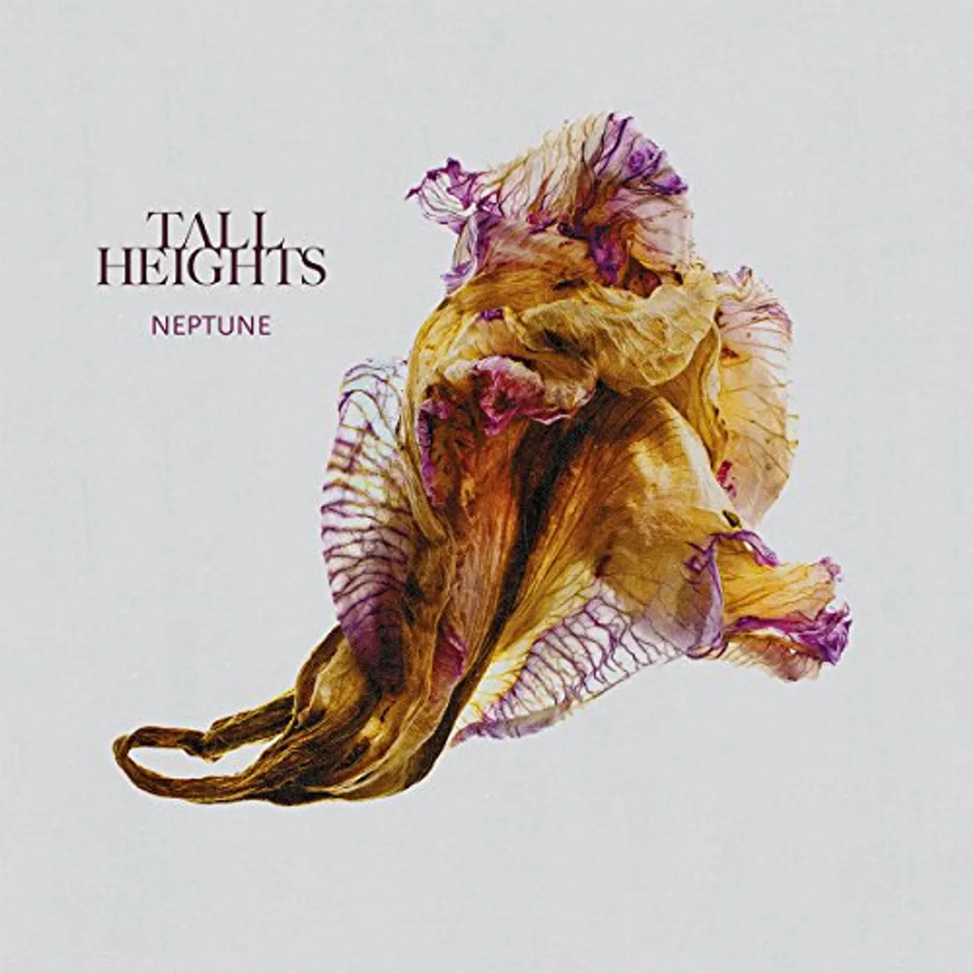 Tall Heights Neptune Vinyl Record