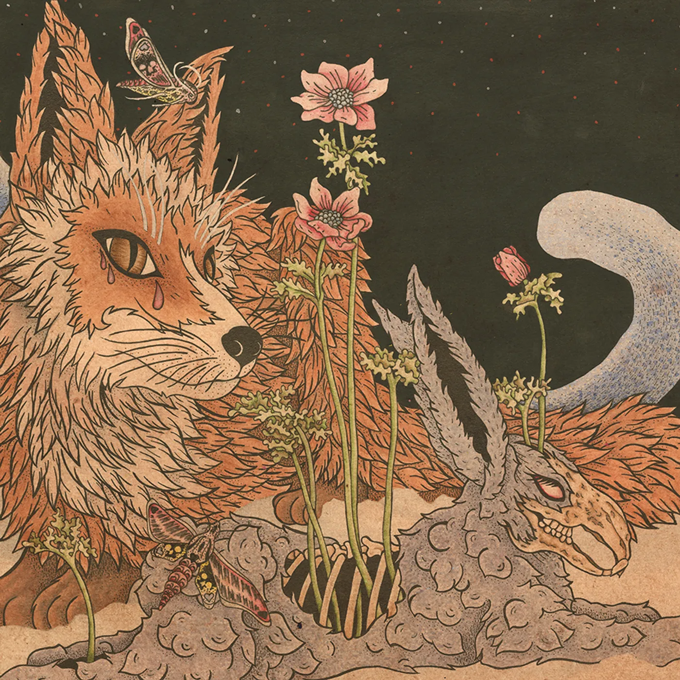 Planes Mistaken For Stars PREY CD