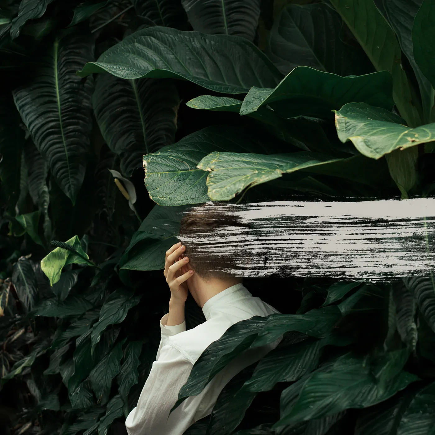 From Indian Lakes EVERYTHING FEELS BETTER NOW CD