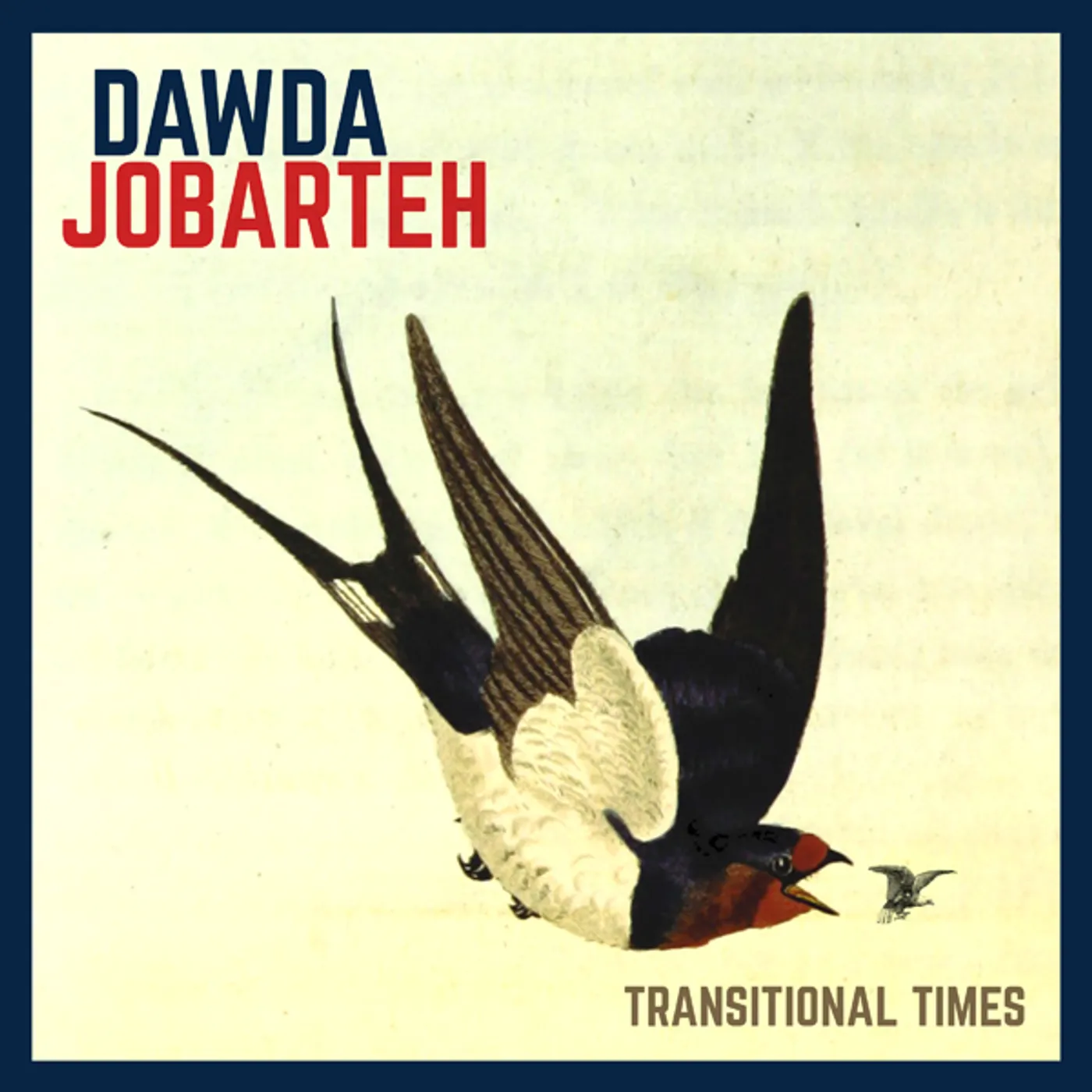 Dawda Jobarteh TRANSITIONAL TIMES CD