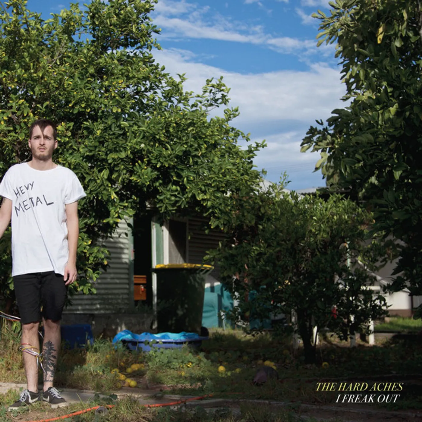 The Hard Aches I Freak Out Vinyl Record