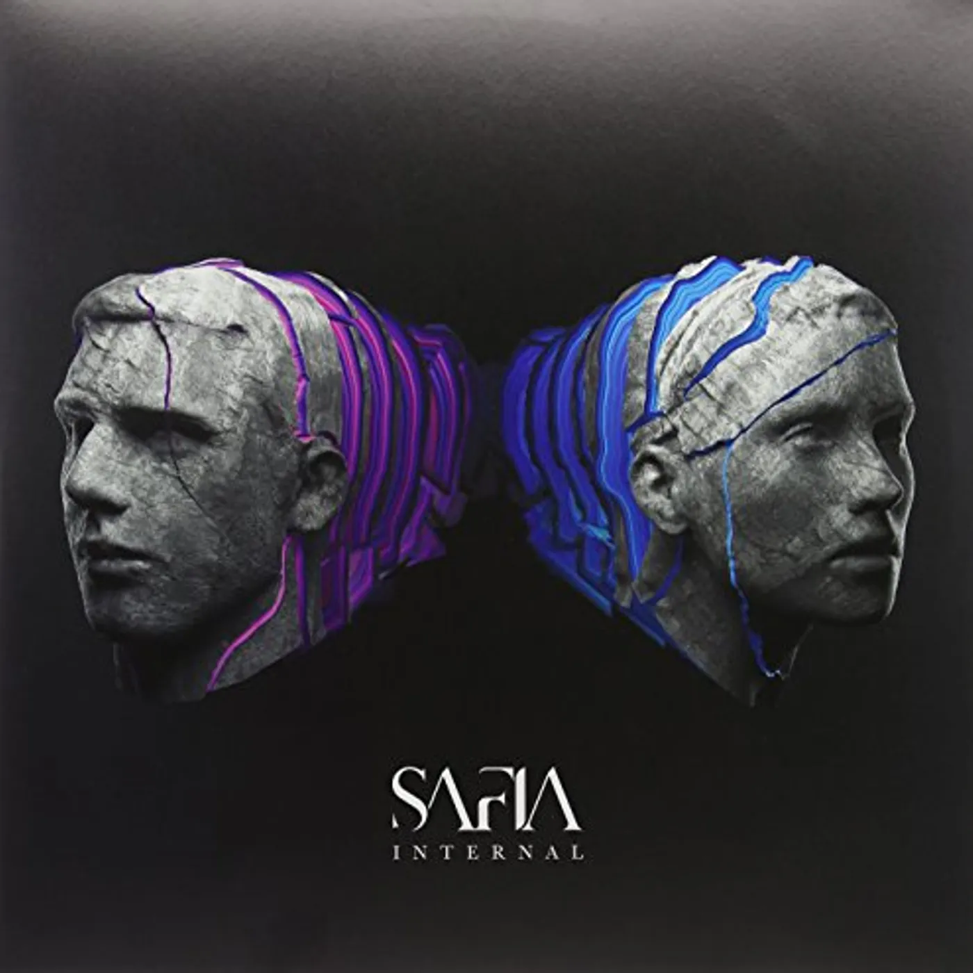 SAFIA Internal Vinyl Record