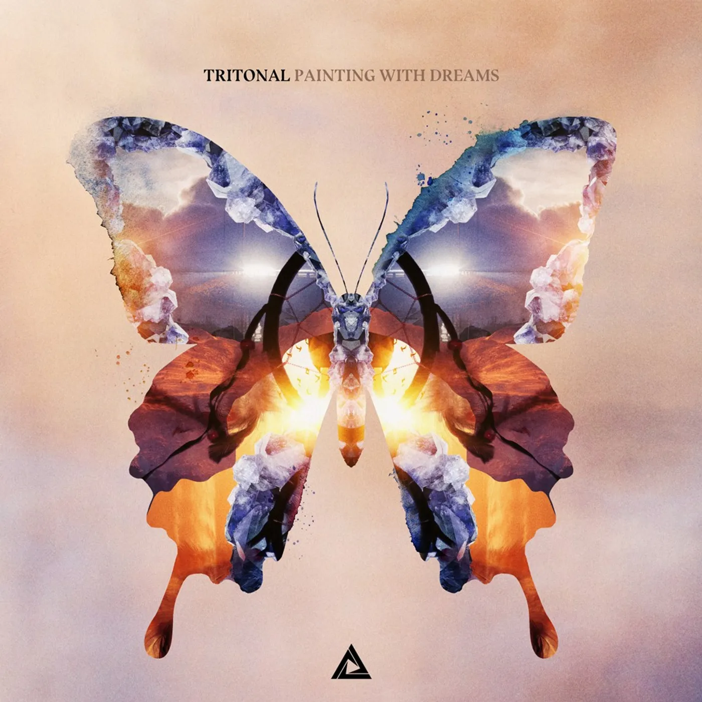 Tritonal Painting With Dreams Vinyl Record