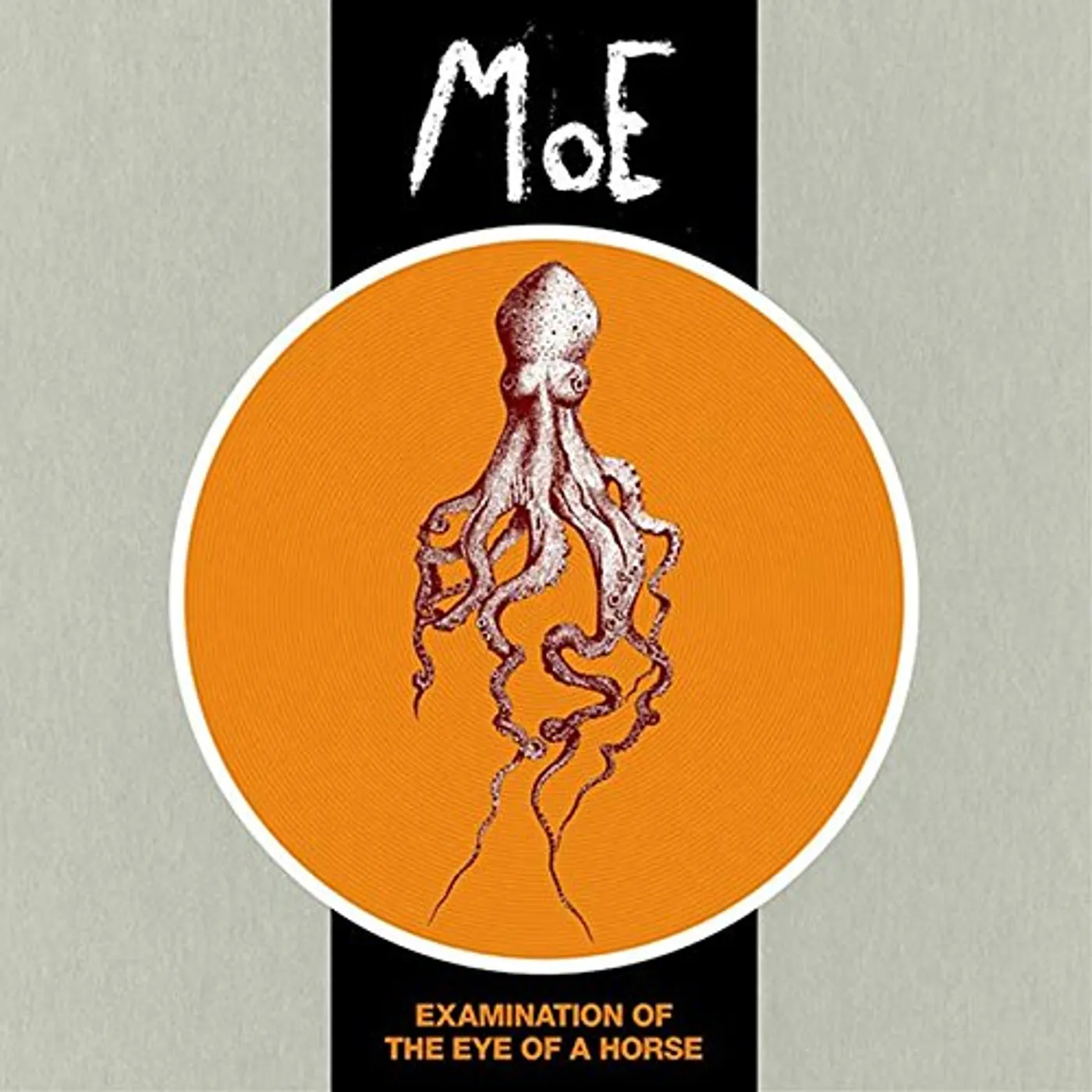moe. EXAMINATION OF THE EYE OF A HORSE Vinyl Record