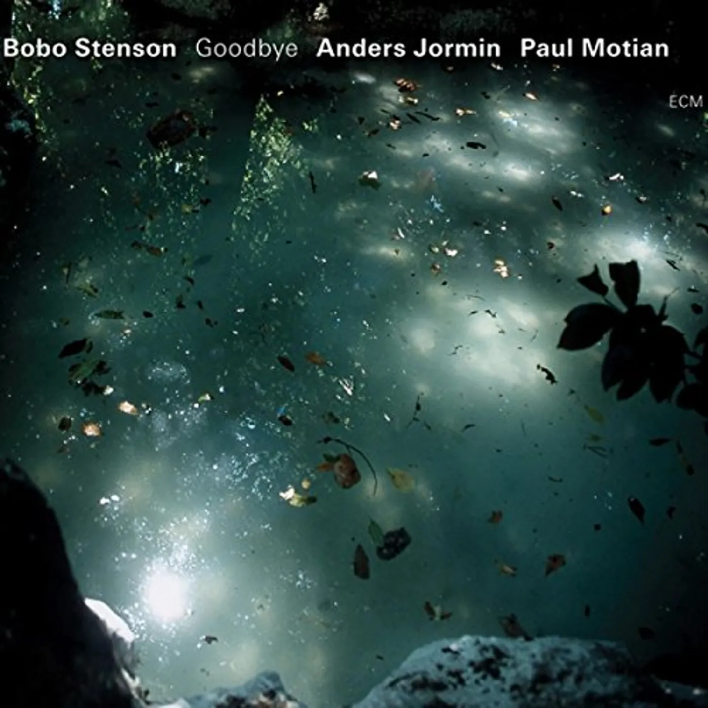 Bobo Stenson GOODBYE CD
