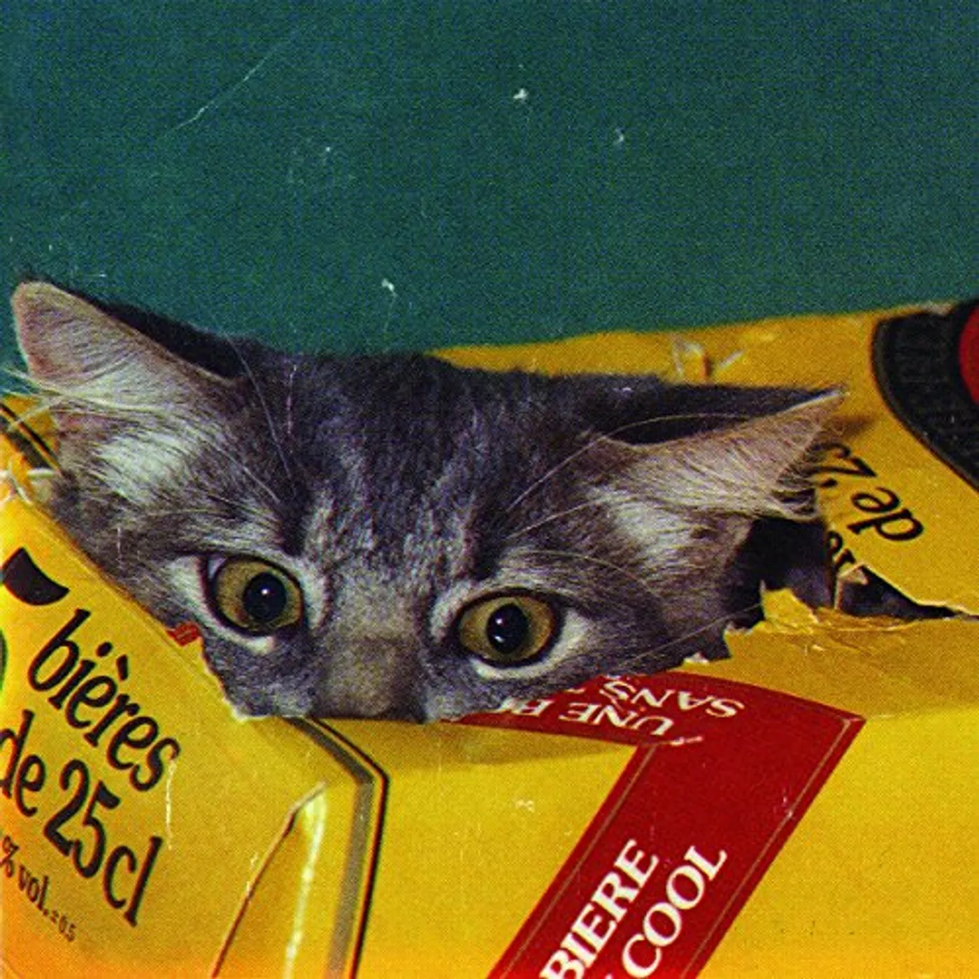 The Fairweather Band MEOW CD