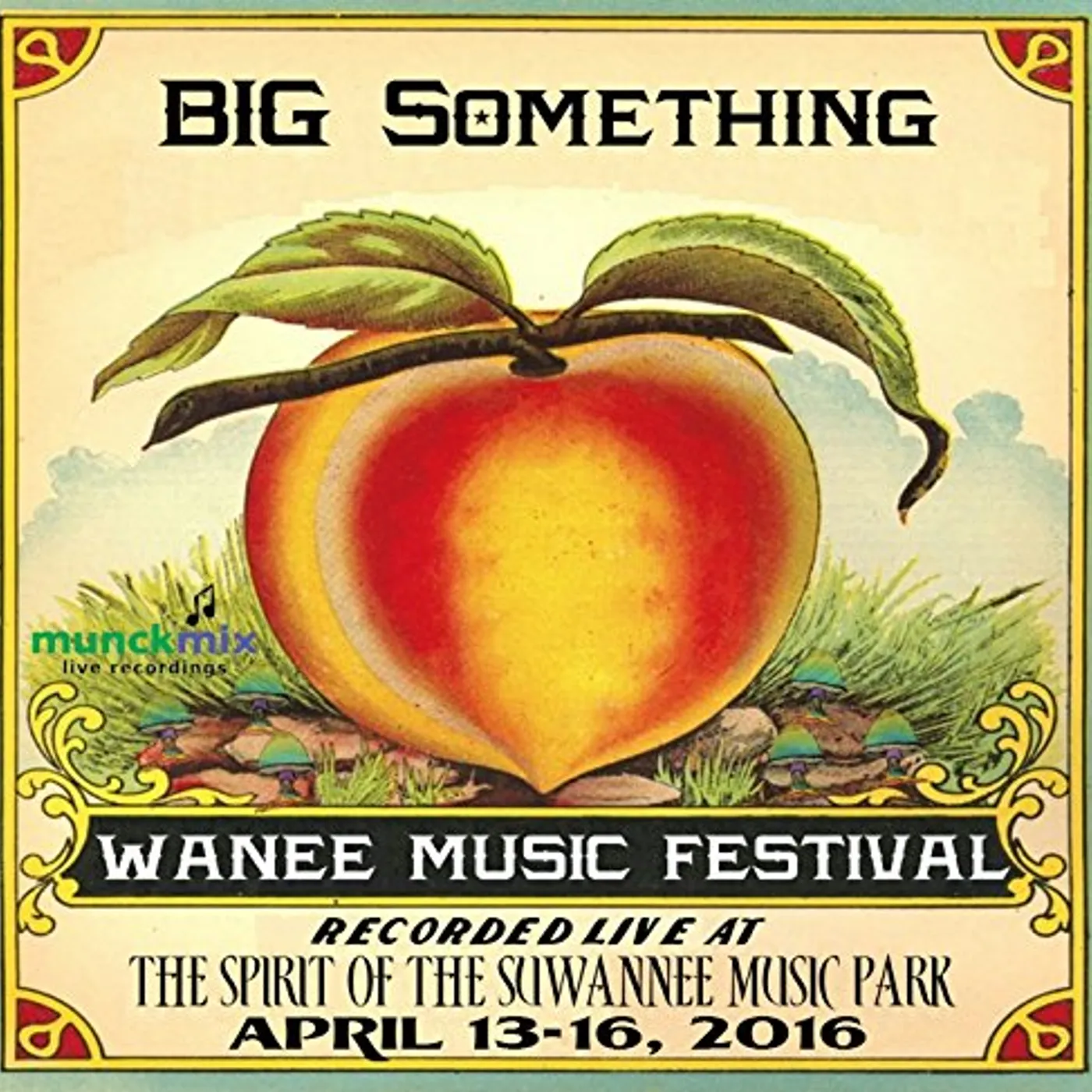 Big Something LIVE AT WANEE 2016 CD