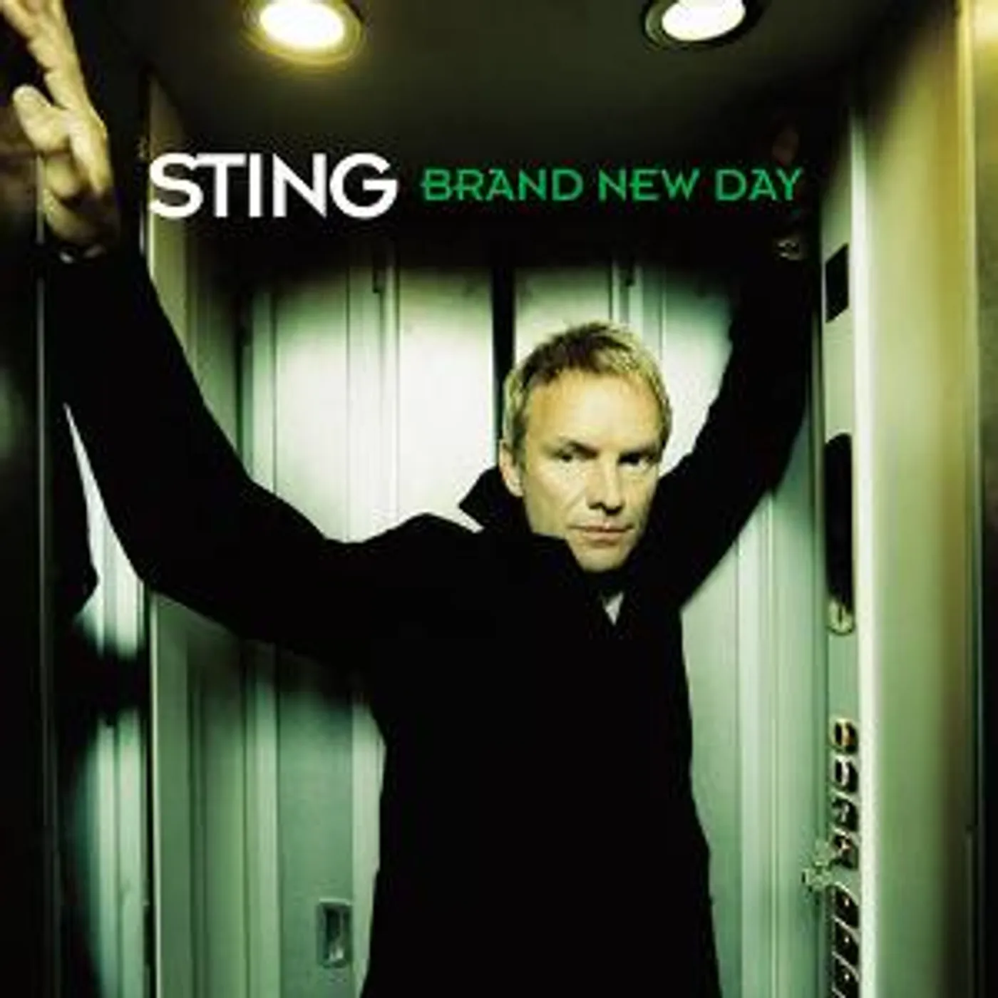 Sting BRAND NEW DAY Vinyl Record