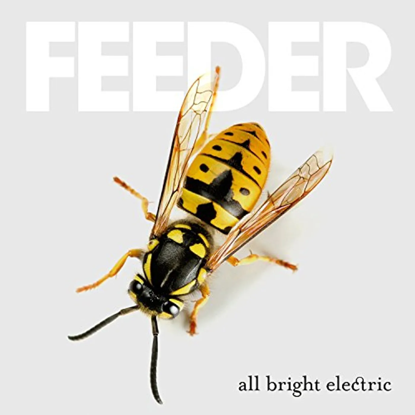 Feeder All Bright Electric Vinyl Record