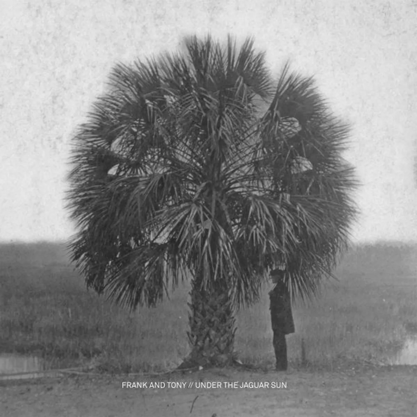 Frank & Tony Under The Jaguar Sun Vinyl Record