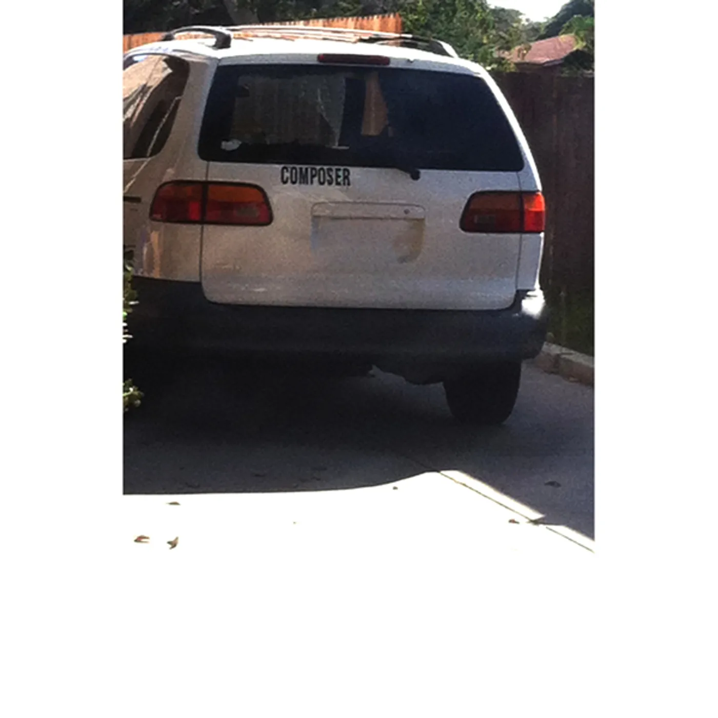 D/P/I Composer Vinyl Record