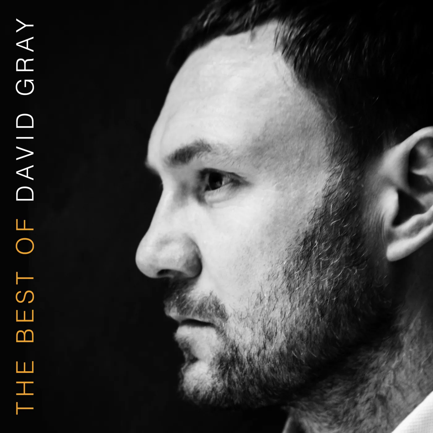 THE BEST OF DAVID GRAY CD