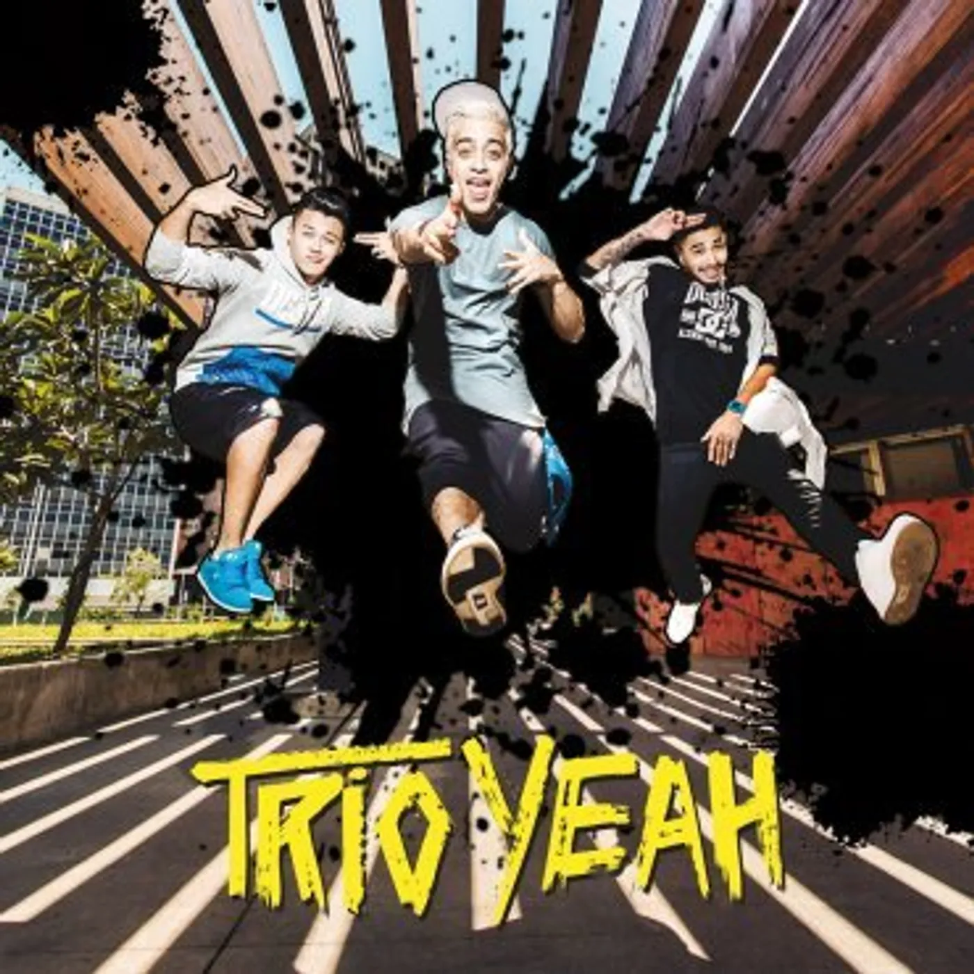 Trio Yeah YEAH CD