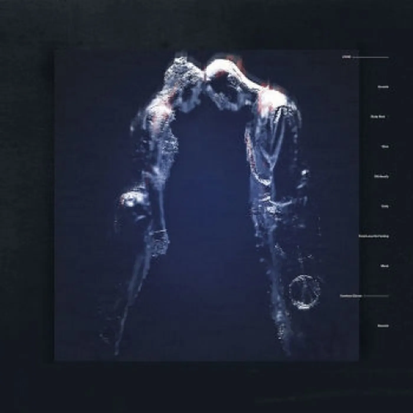 Naked ZONE Vinyl Record