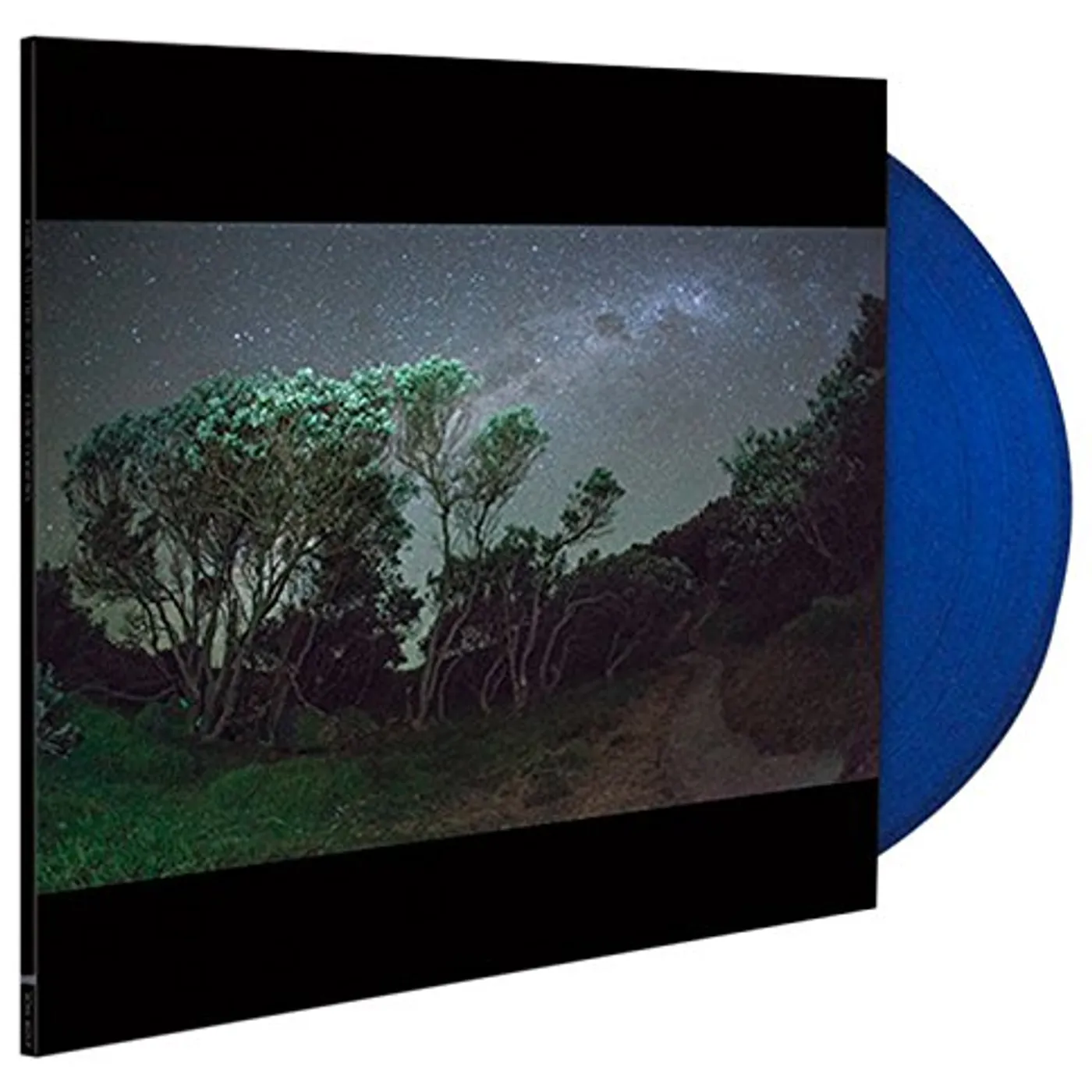 Esben and the Witch Older Terrors Vinyl Record