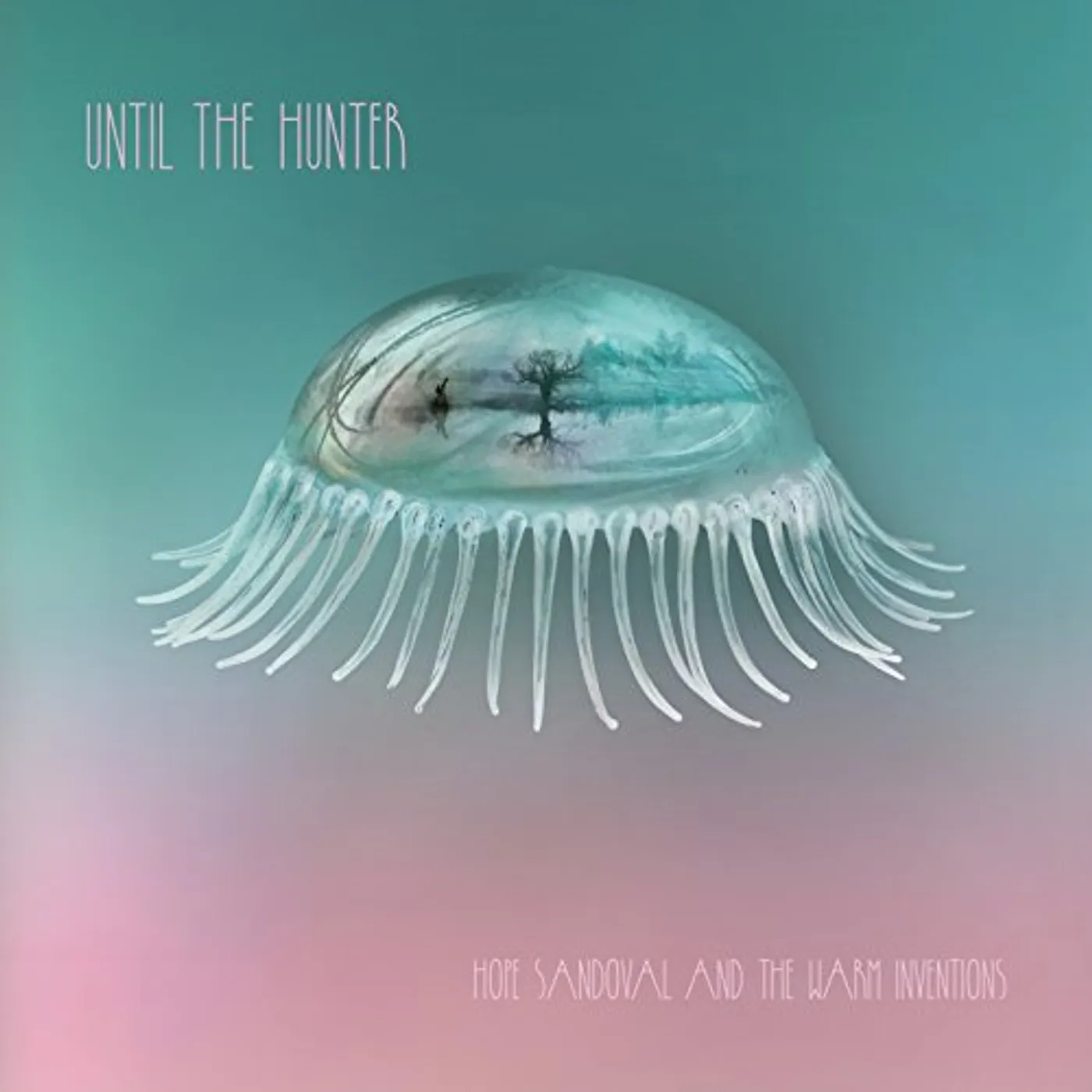 Hope Sandoval & The Warm Inventions  UNTIL THE HUNTER CD