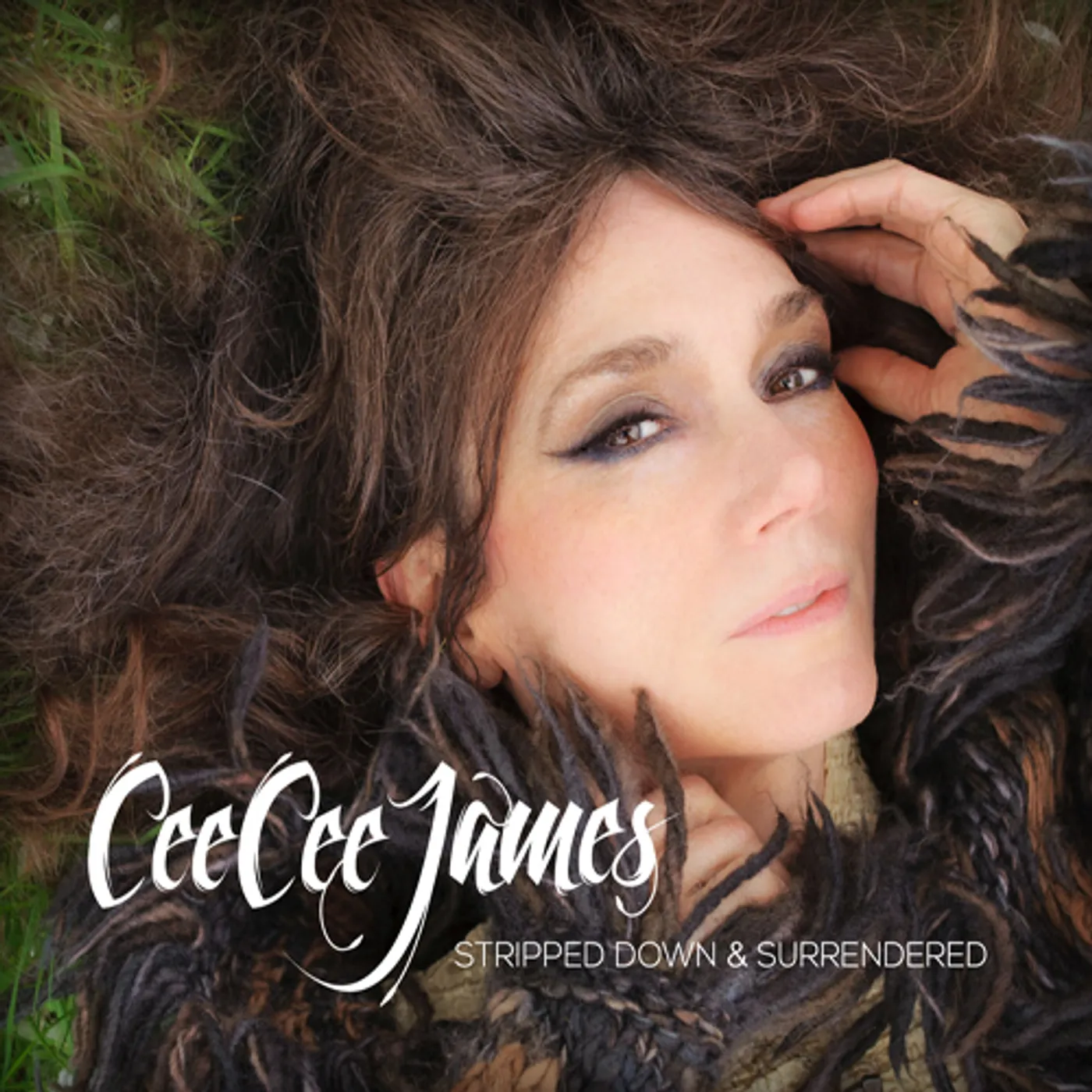 Cee Cee James STRIPPED DOWN & SURRENDERED CD