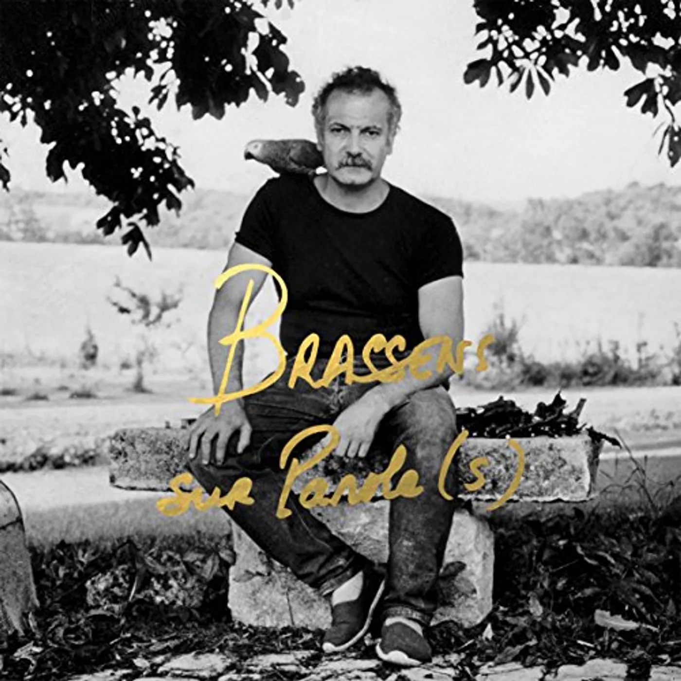 Georges Brassens BRASSENS SUR PAROLE(S) CD