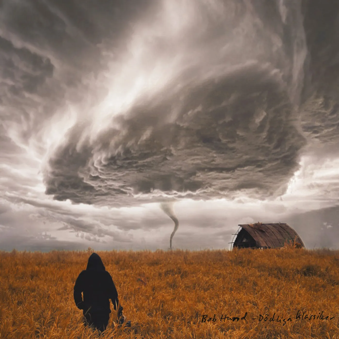 bob hund DODLIGA KLASSIKER Vinyl Record