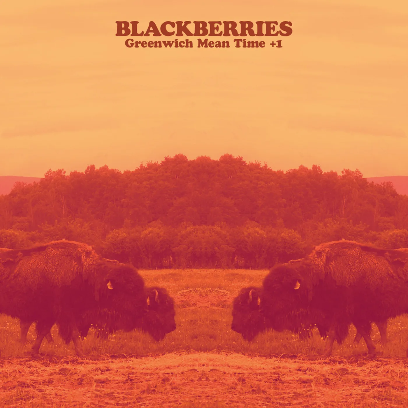 Blackberries GREENWICH MEAN TIME +1 CD