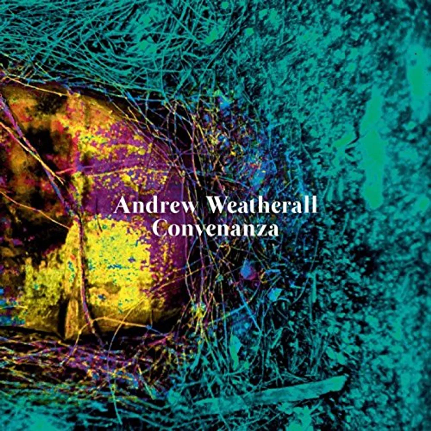 Andrew Weatherall Convenanza Vinyl Record