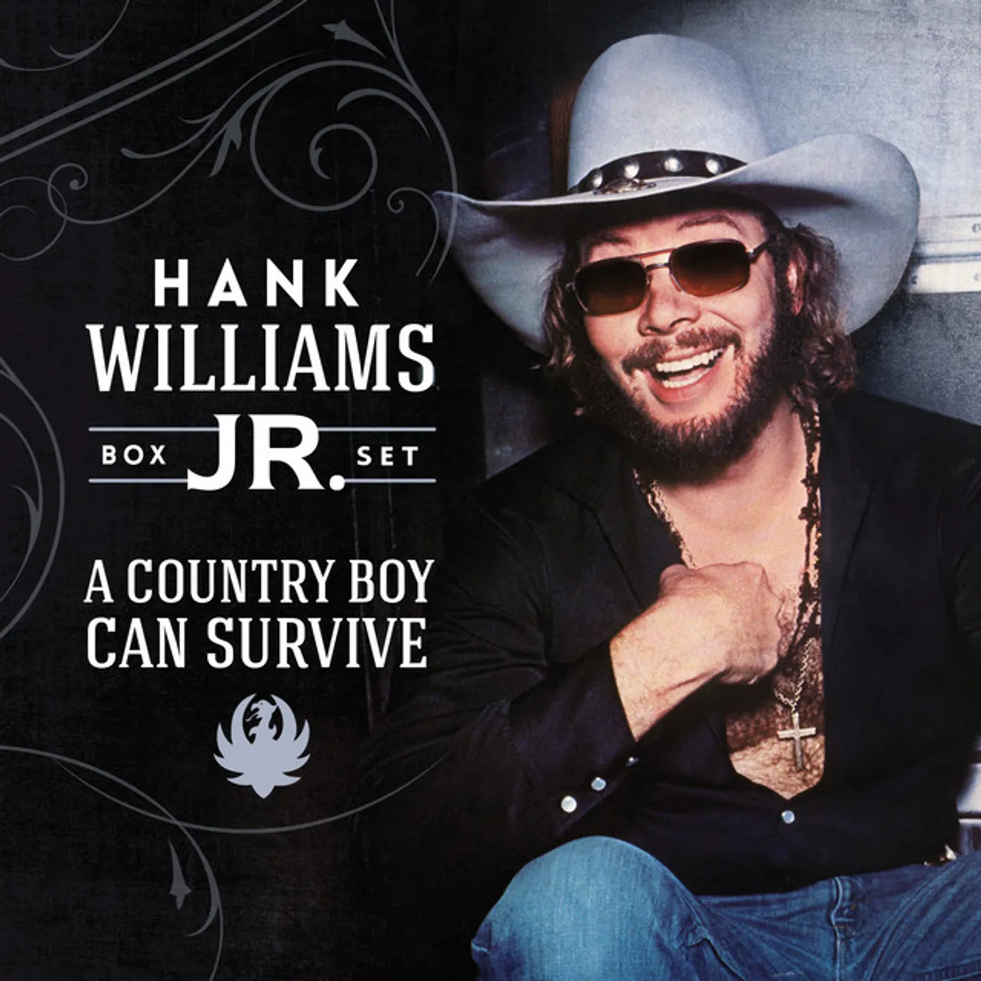 Hank Williams, Jr. COUNTRY BOY CAN SURVIVE BOX SET CD