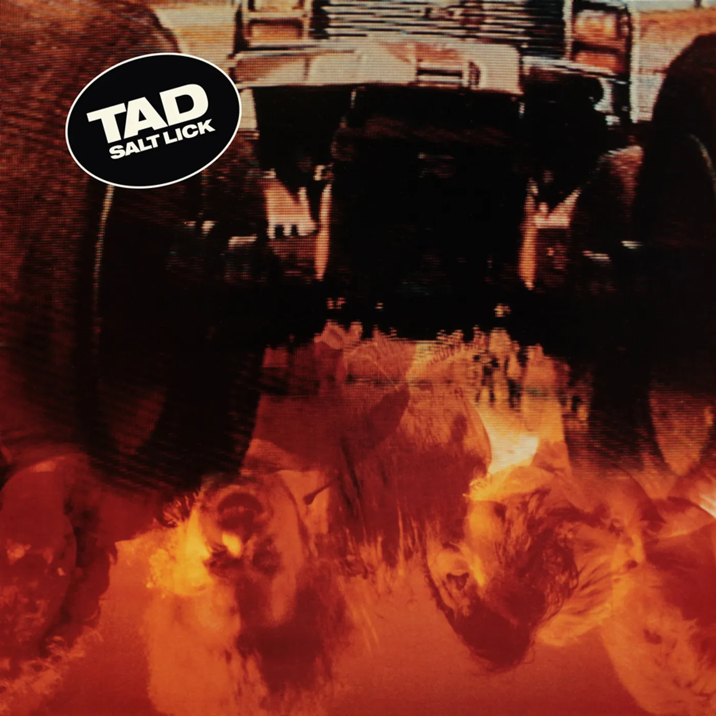 Tad SALT LICK CD