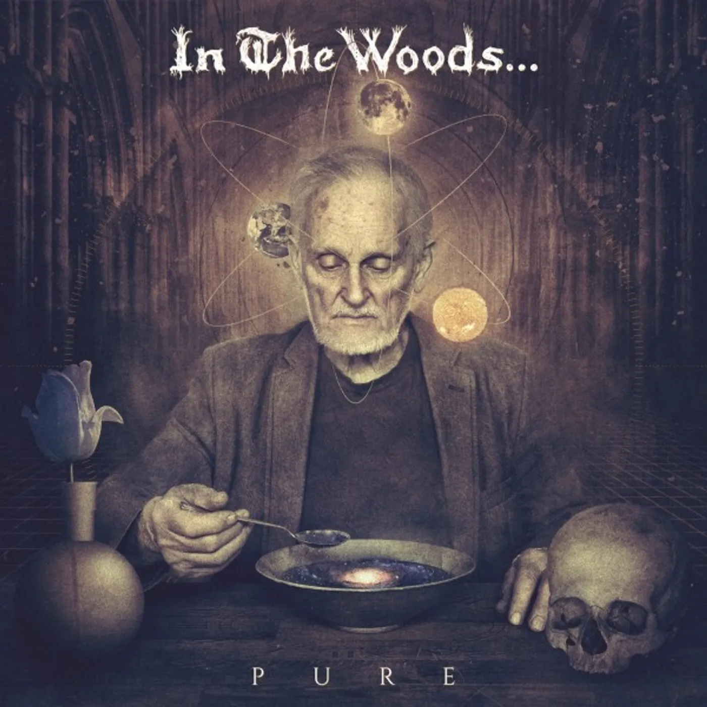 In The Woods... Pure Vinyl Record