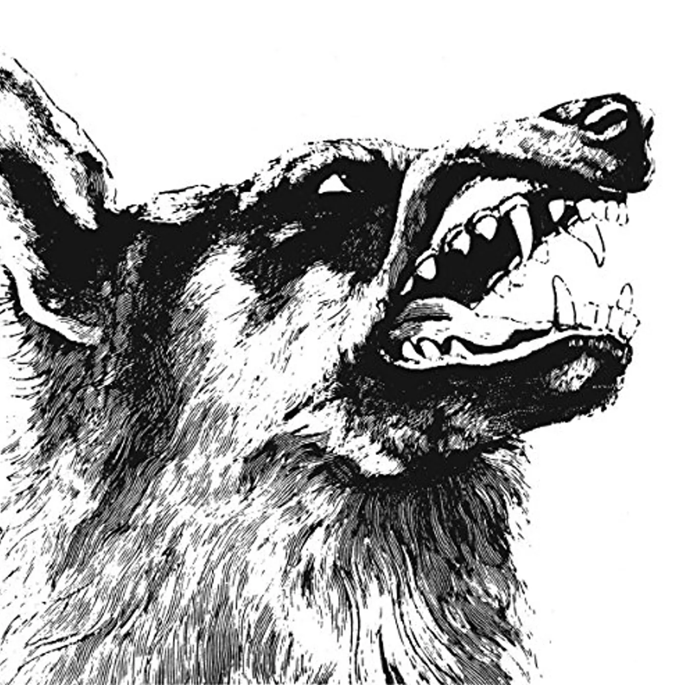 Crippled Black Phoenix VIGILANTE CD