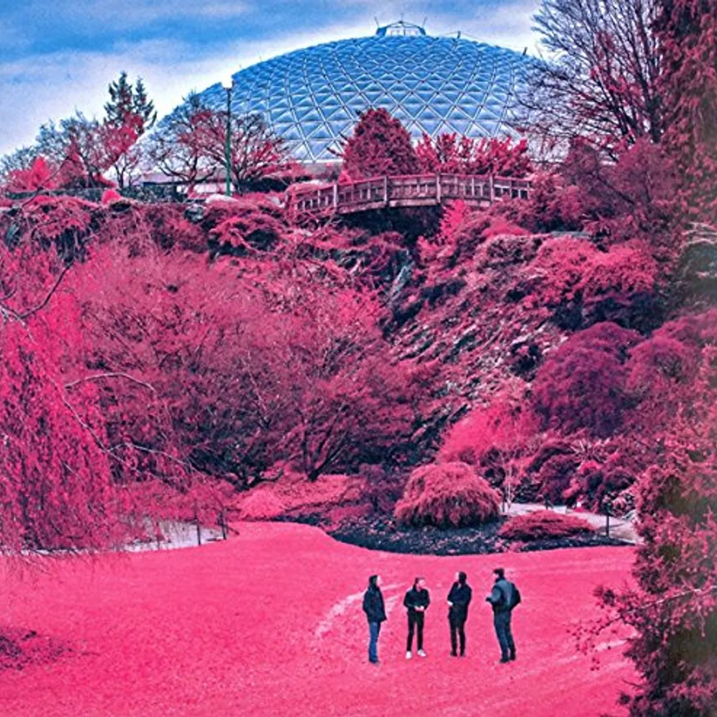 The Zolas Swooner Vinyl Record