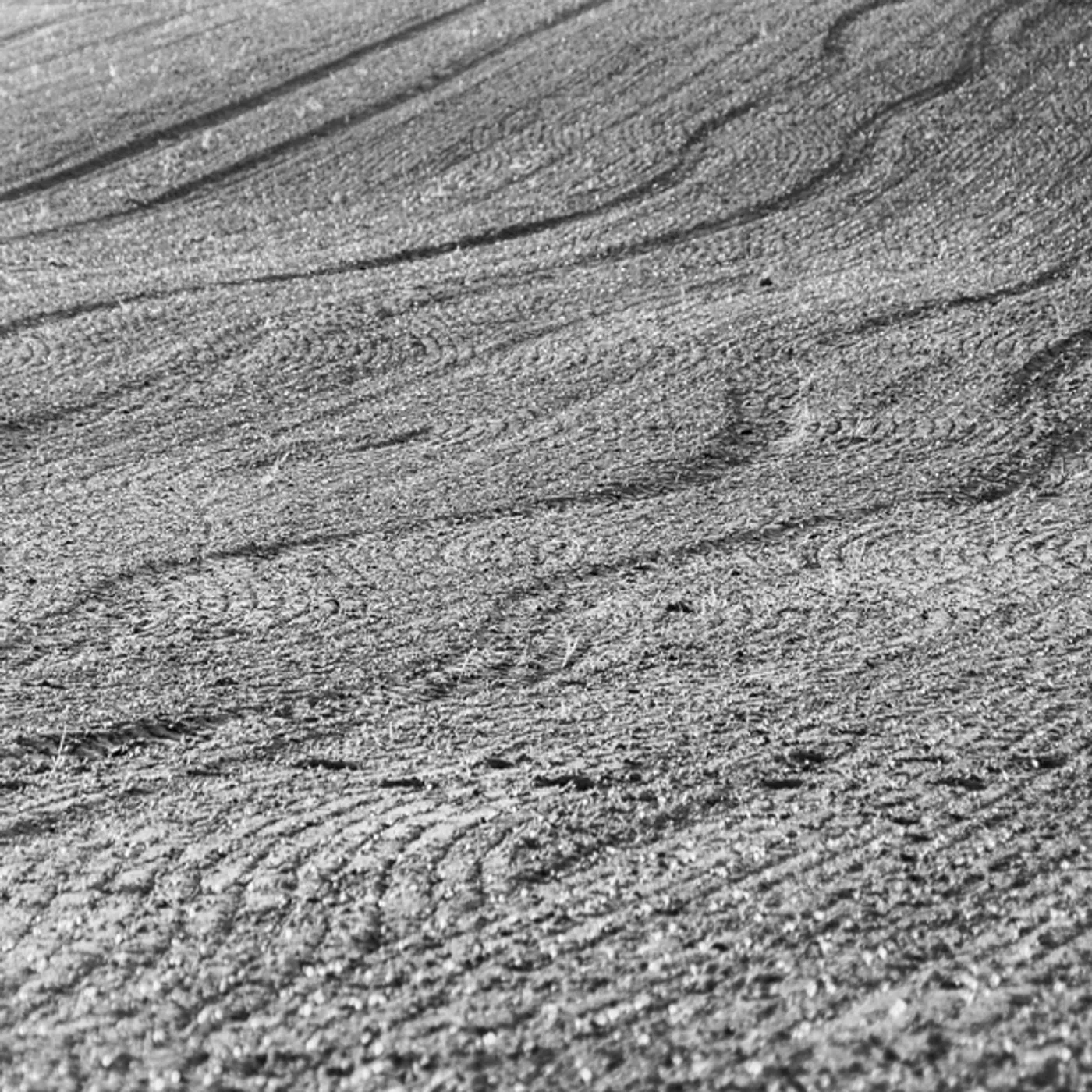 Zigan Aldi Gelbensande Vinyl Record