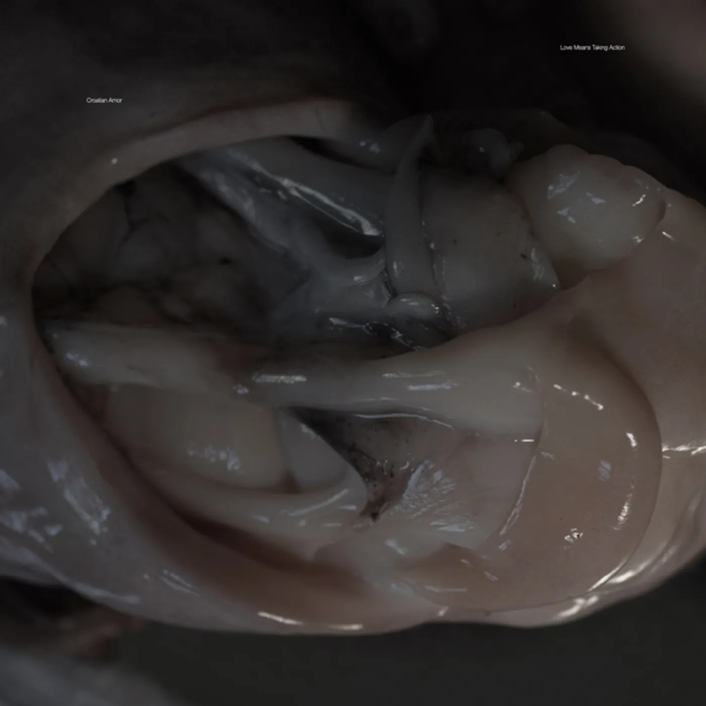 Croatian Amor Love Means Taking Action Vinyl Record