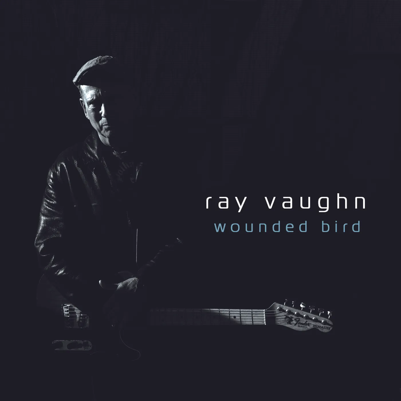Ray Vaughn WOUNDED BIRD CD