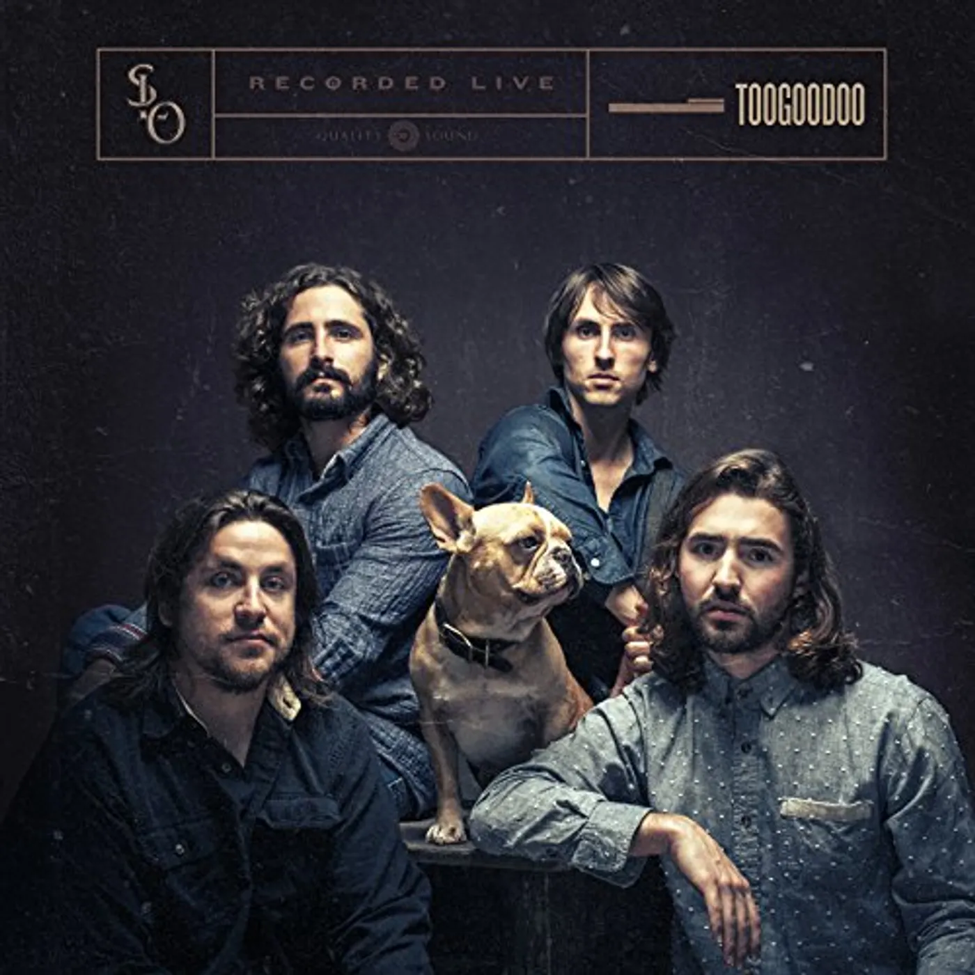 Stop Light Observations TOOGOODOO Vinyl Record