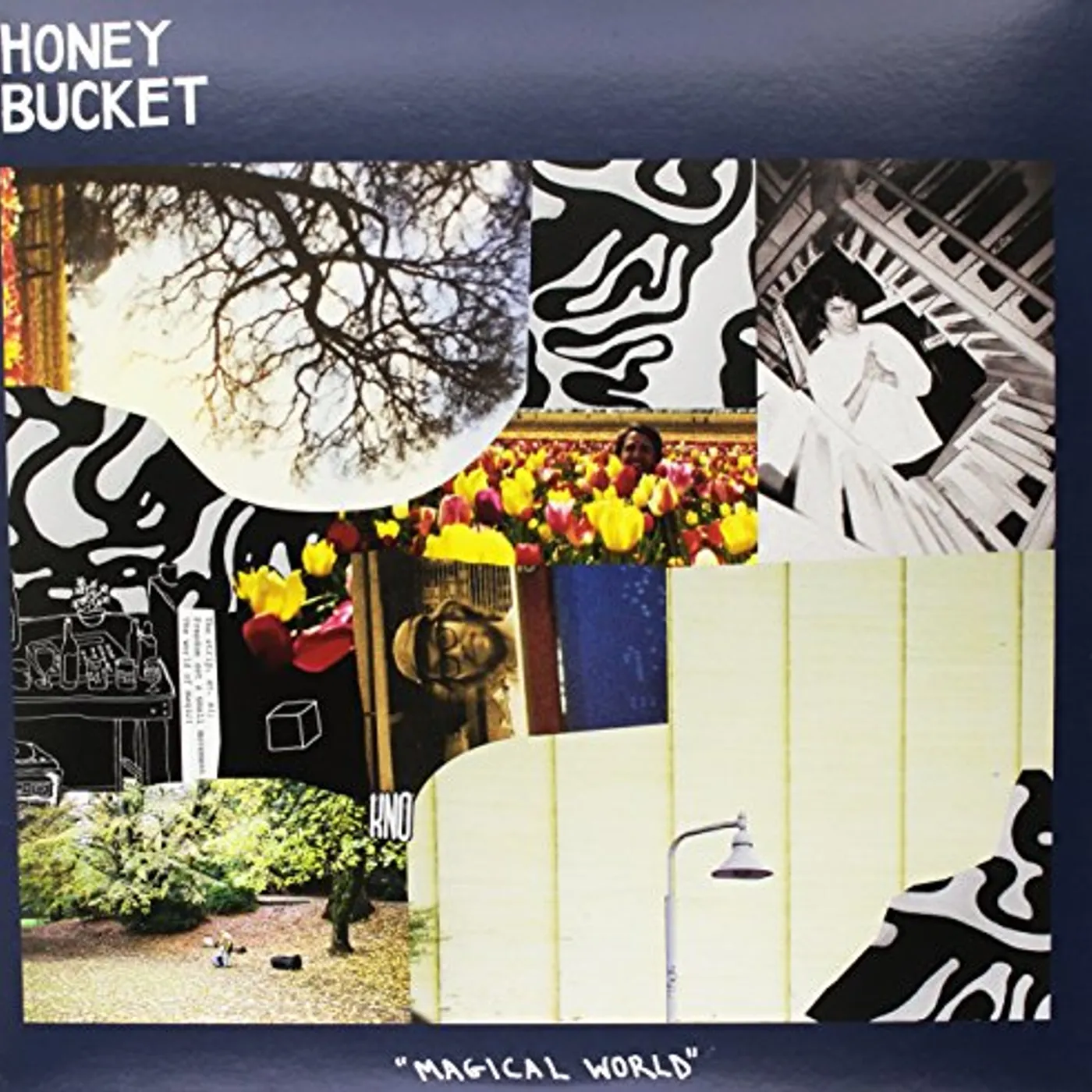 Honey Bucket Magical World Vinyl Record