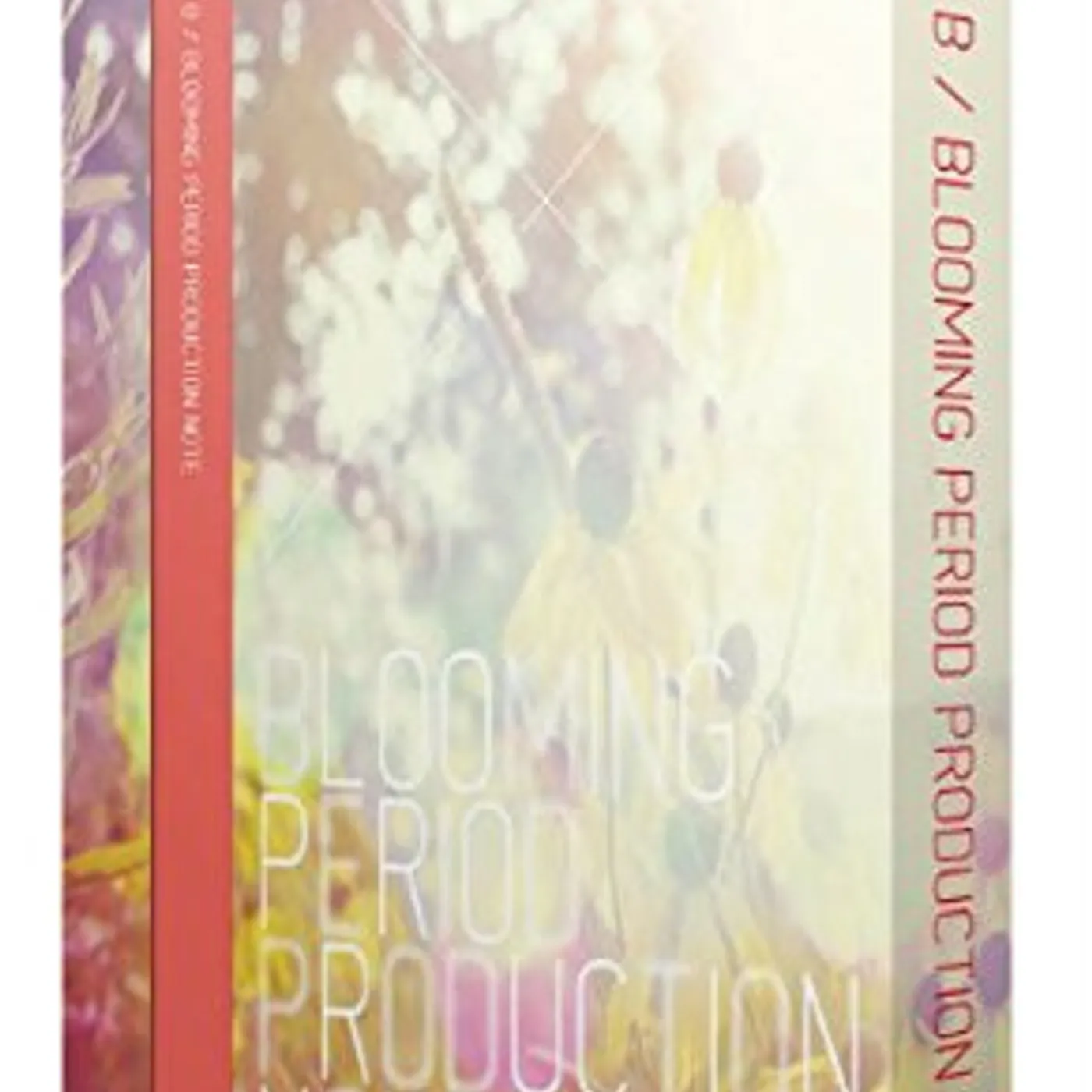 Block B BLOOMING PERIOD PRODUCTION NOTE DVD