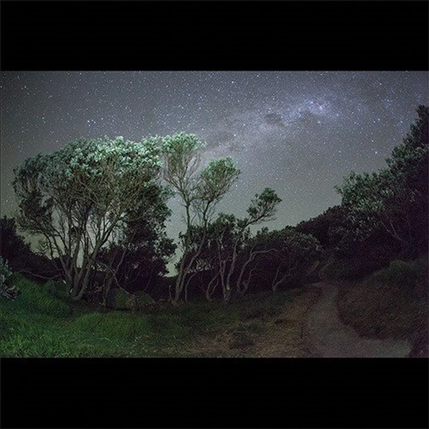 Esben and the Witch OLDER TERRORS CD