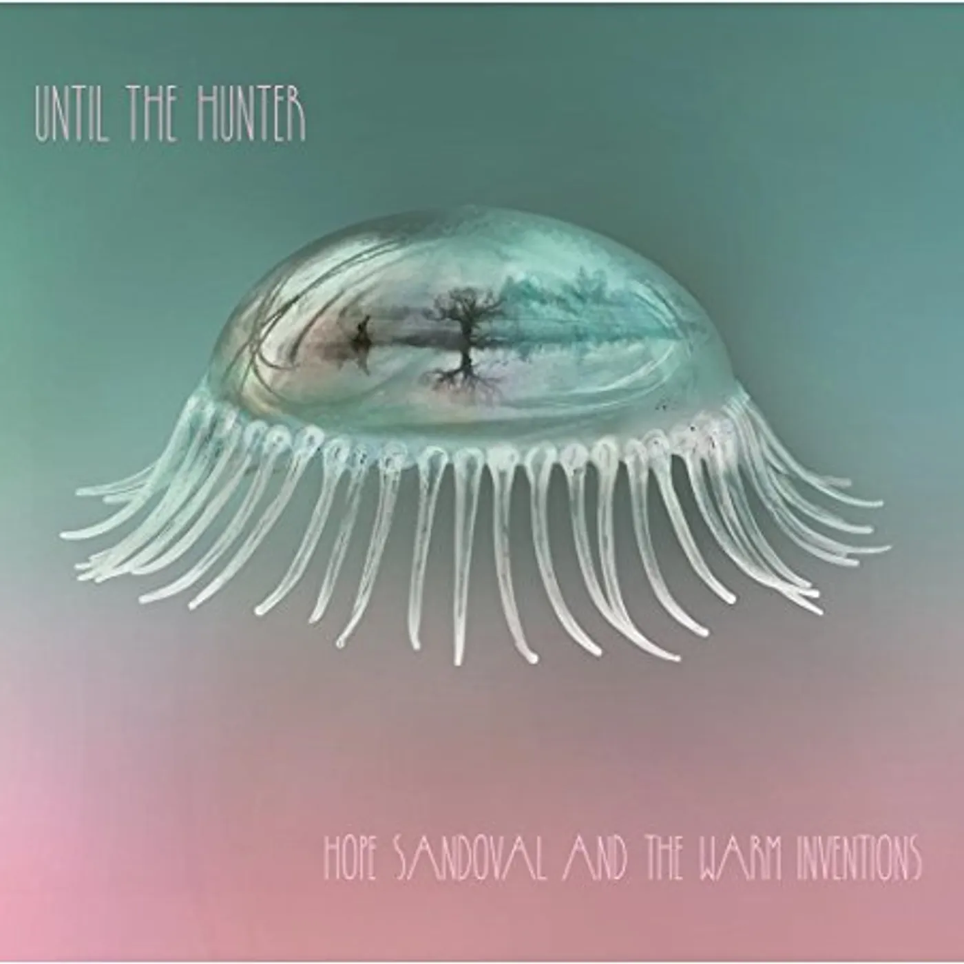 Hope Sandoval & The Warm Inventions  Until the Hunter Vinyl Record