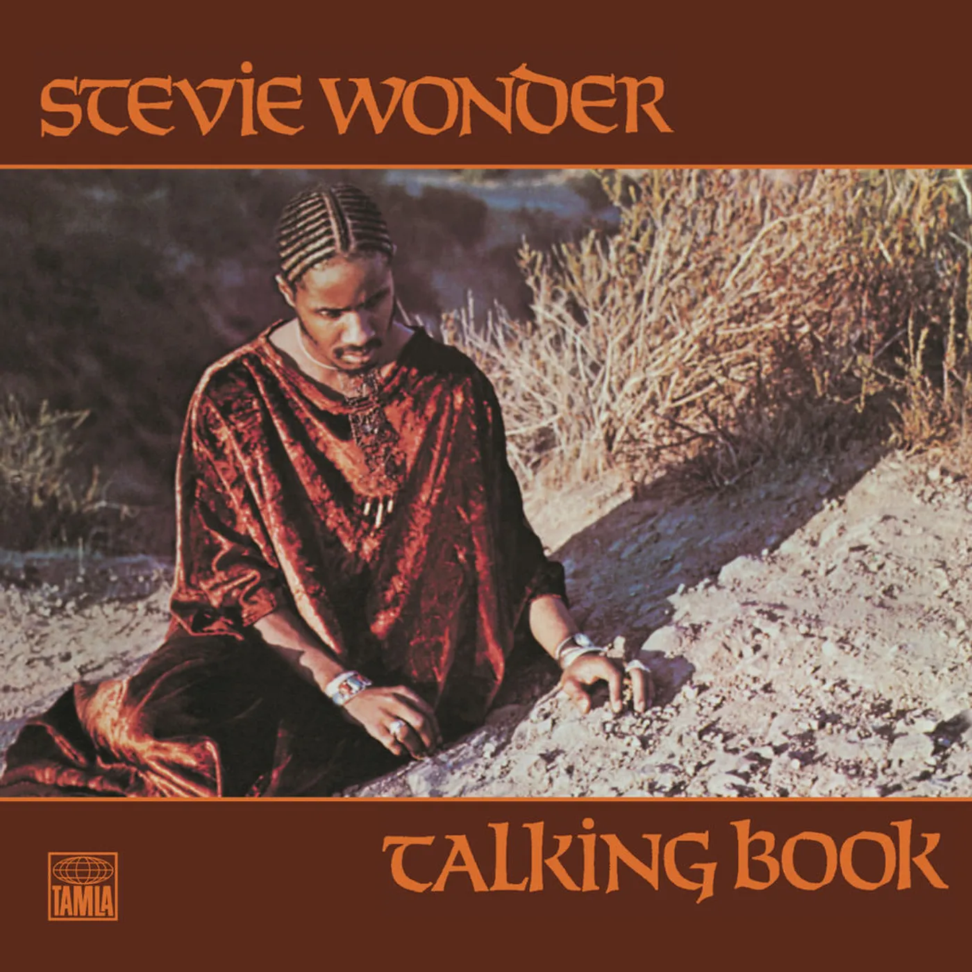 Stevie Wonder Talking Book Vinyl Record