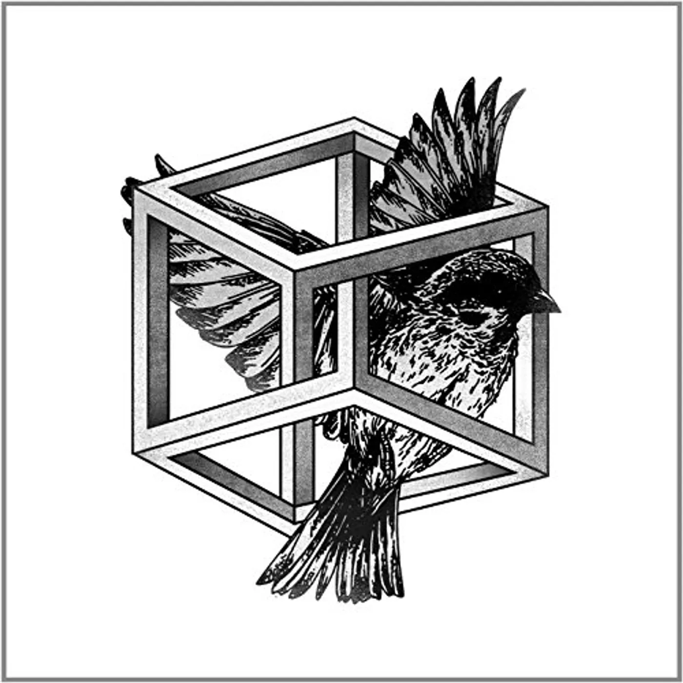 Bufi REVELACION Vinyl Record