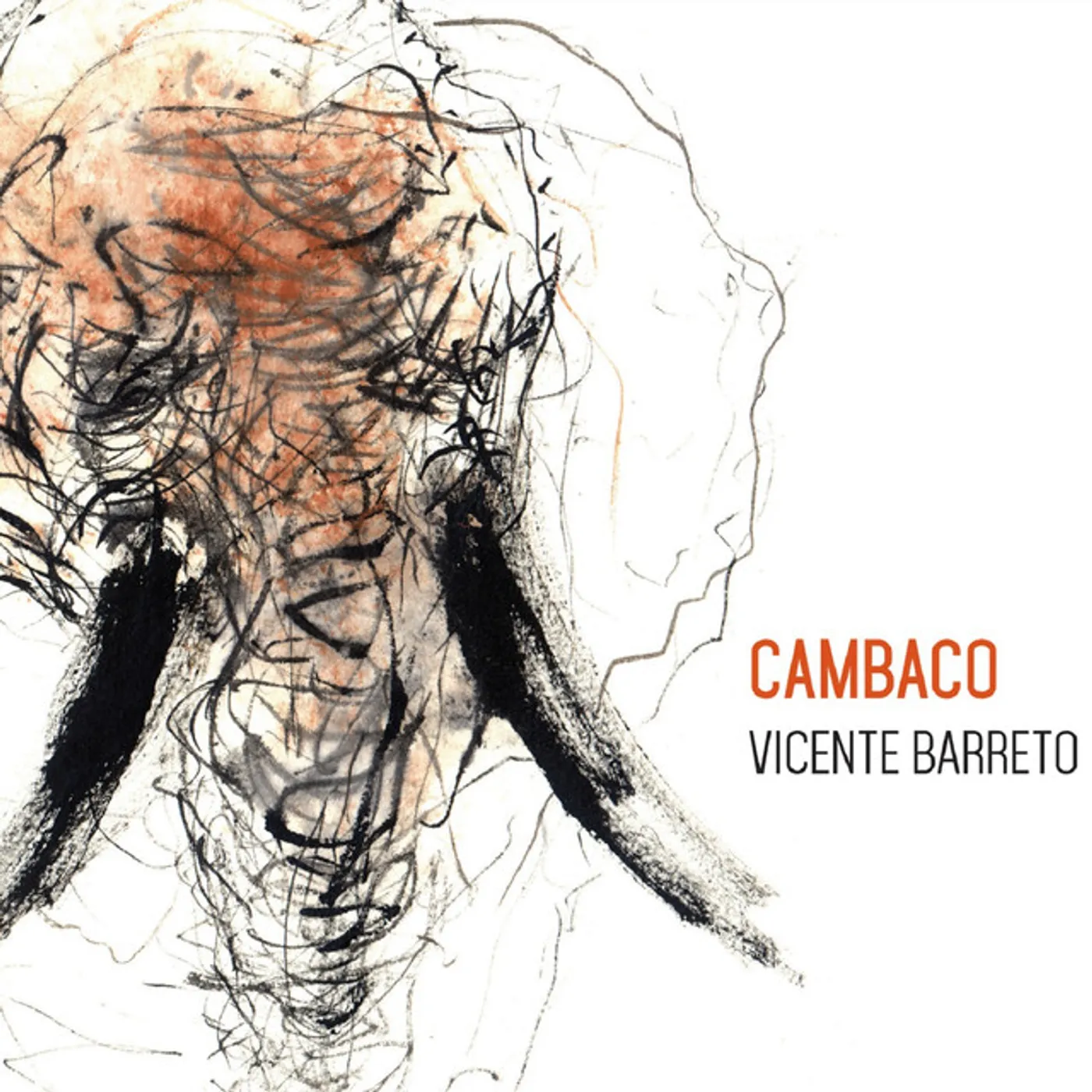 Vicente Barreto Cambaco Vinyl Record