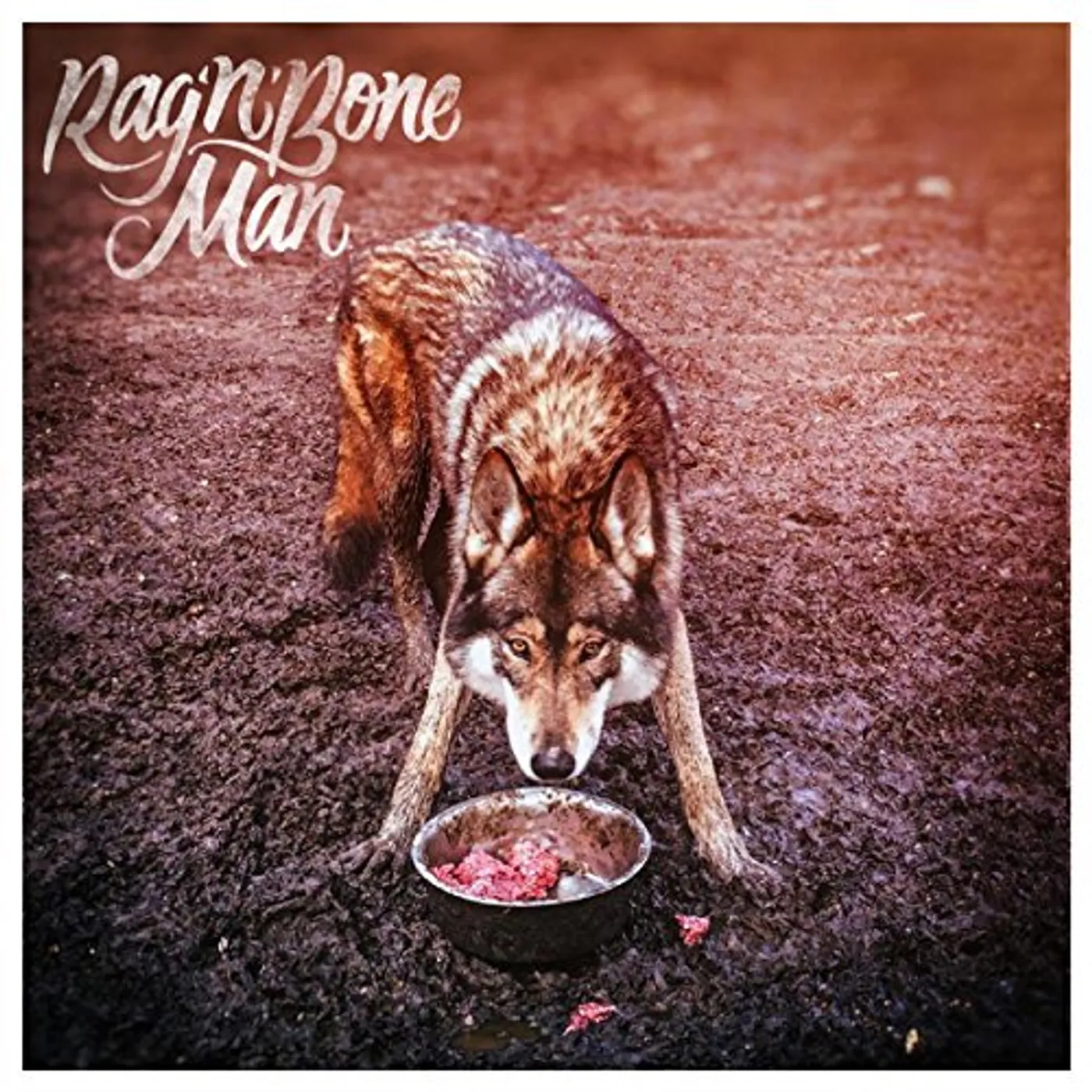 Rag'n'Bone Man WOLVES CD