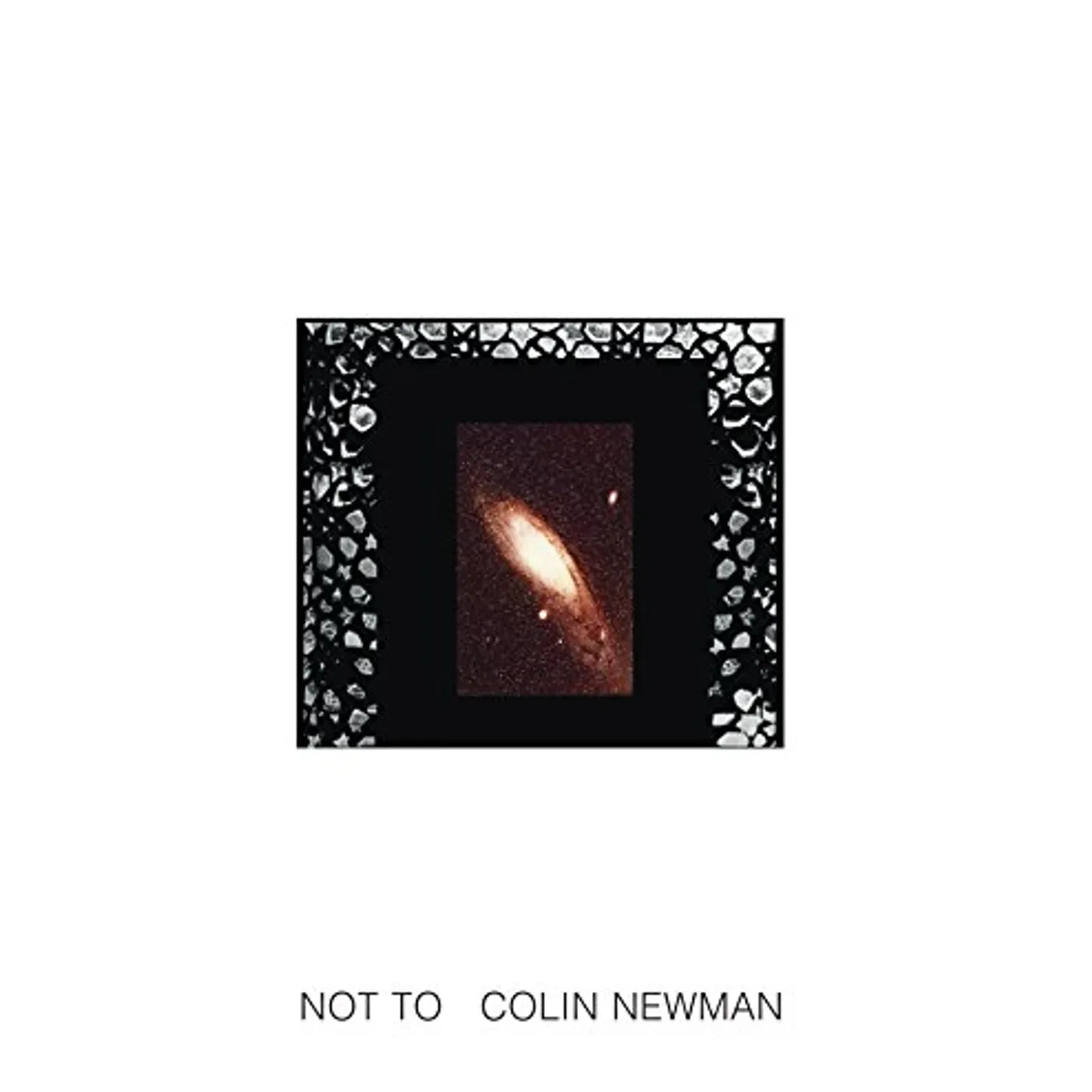Colin Newman Not To Vinyl Record