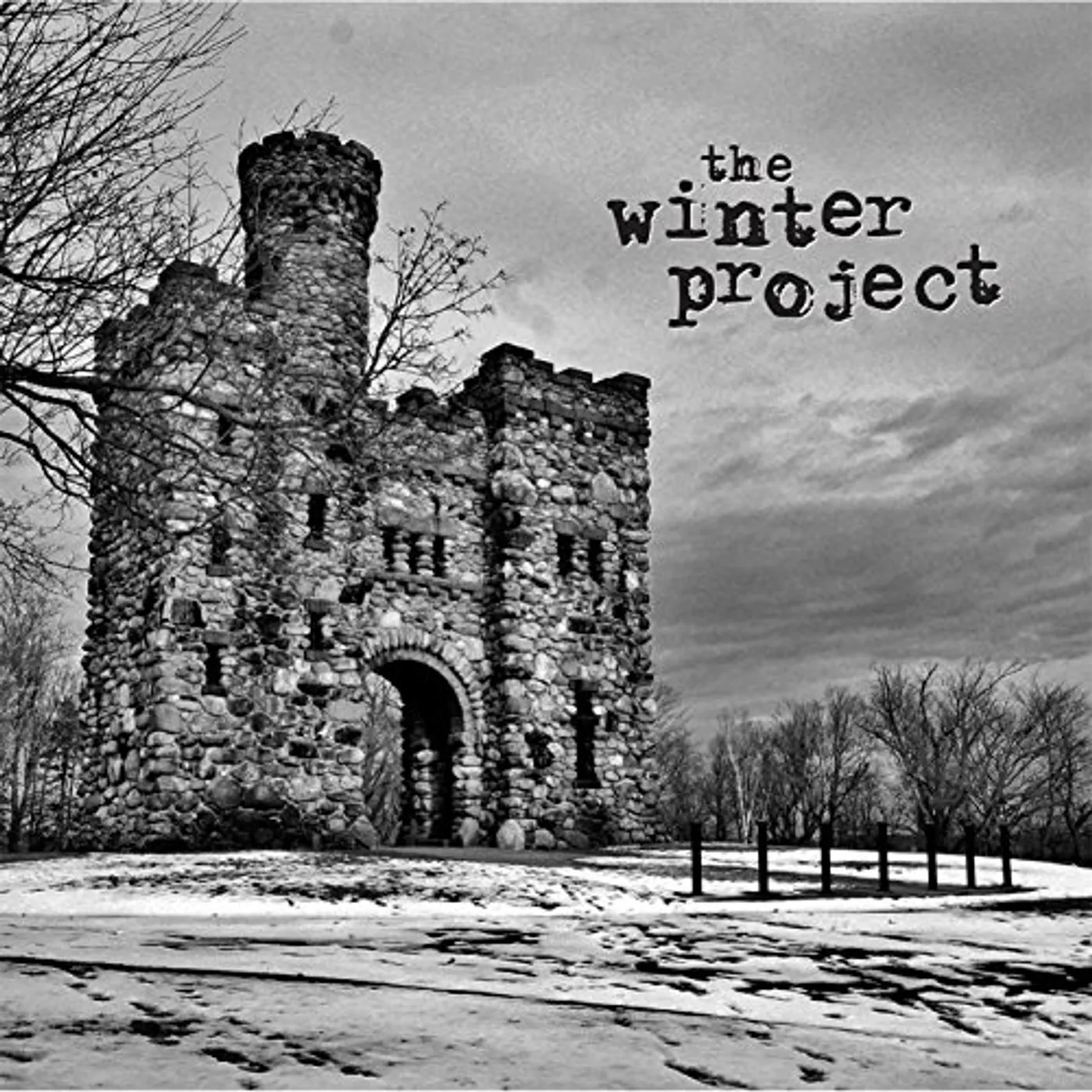 The Winter Project Vinyl Record