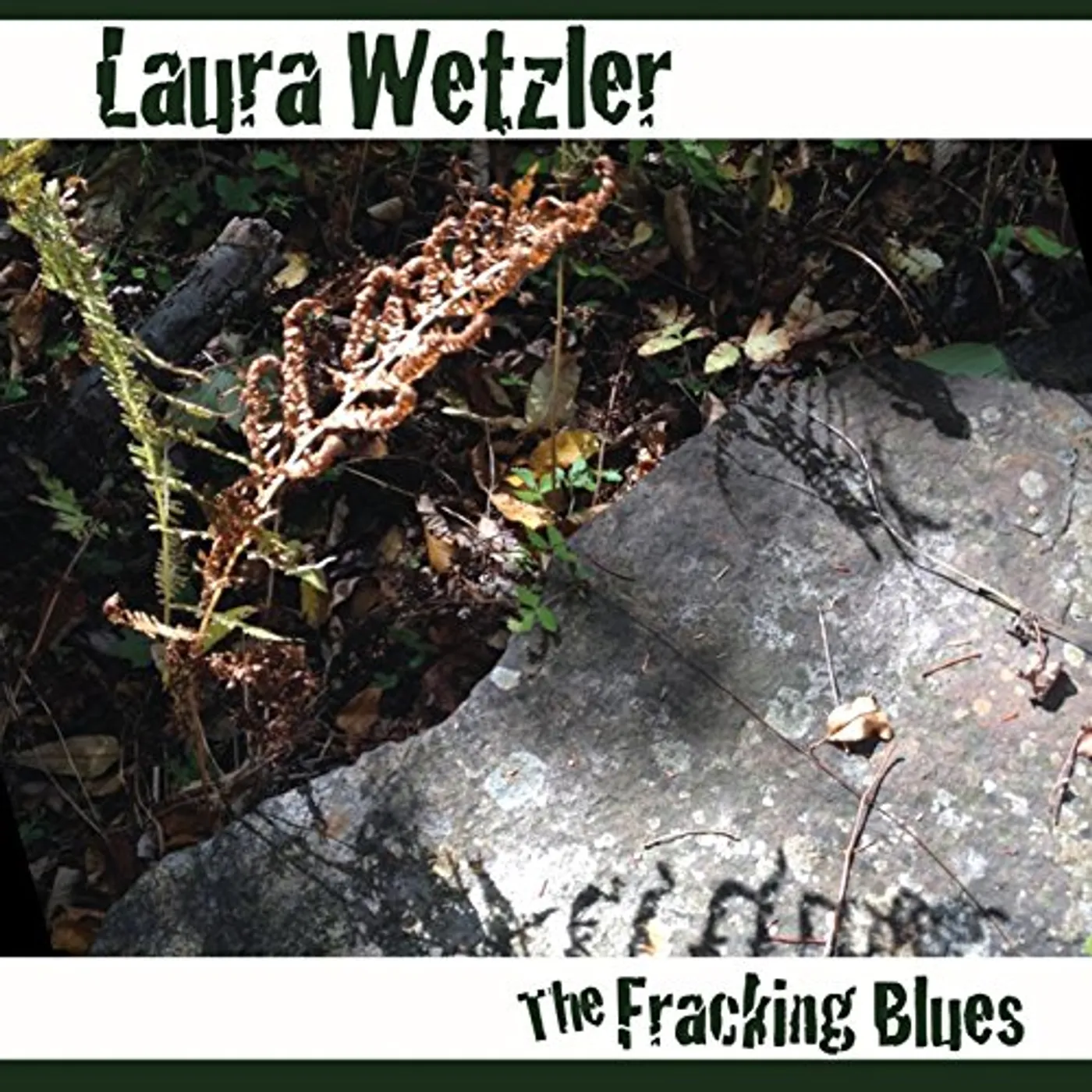 Laura Wetzler FRACKING BLUES CD