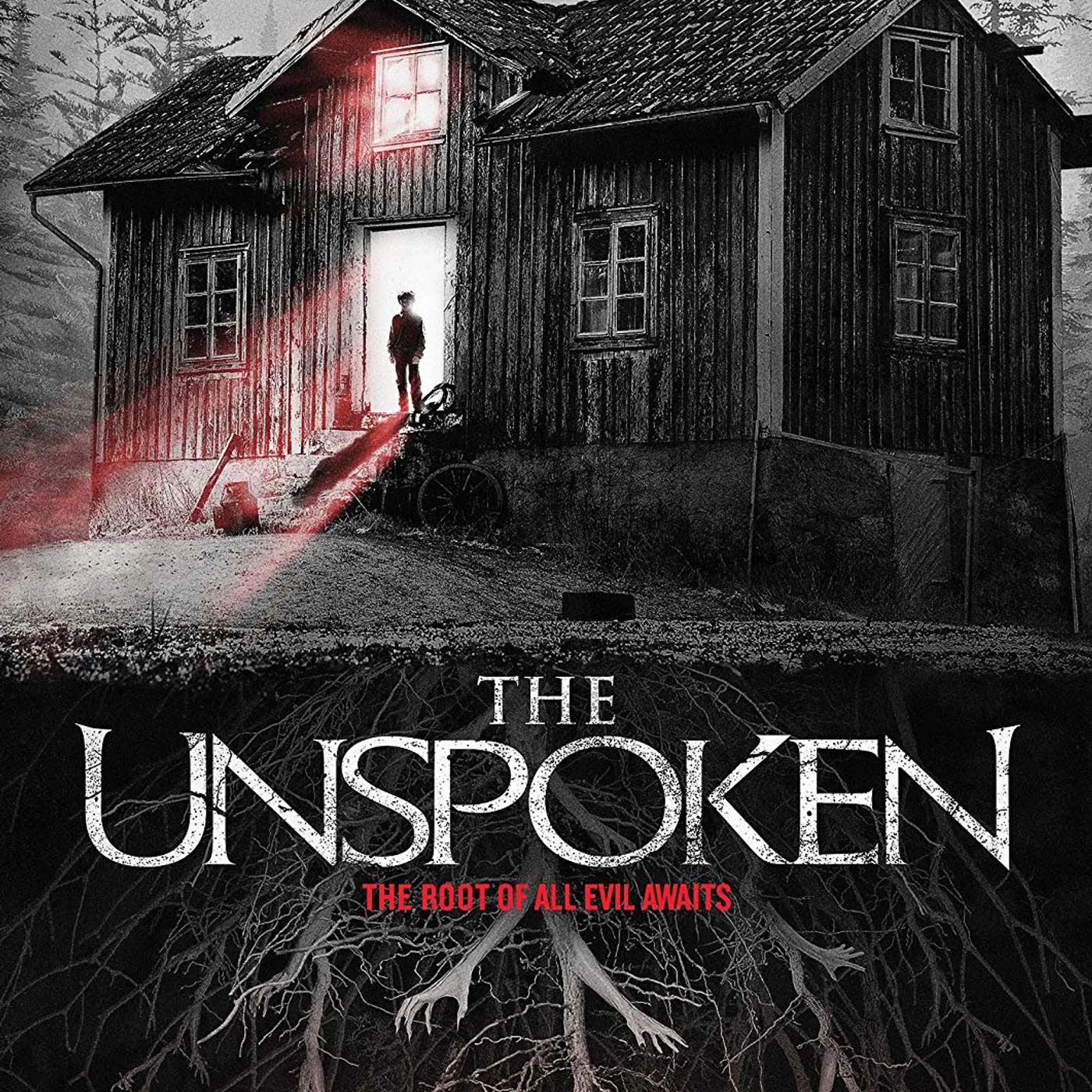 UNSPOKEN DVD