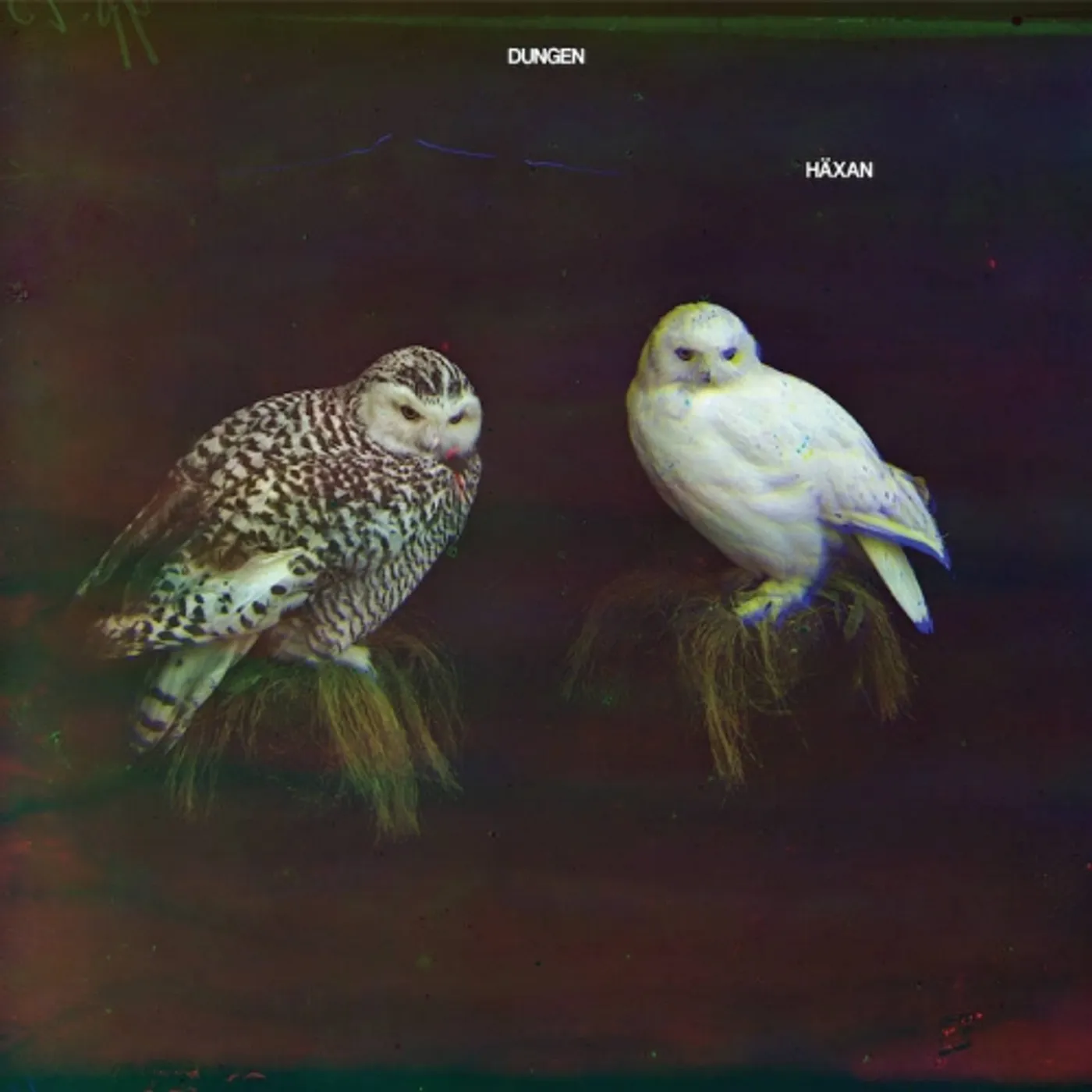 Dungen HAXAN CD