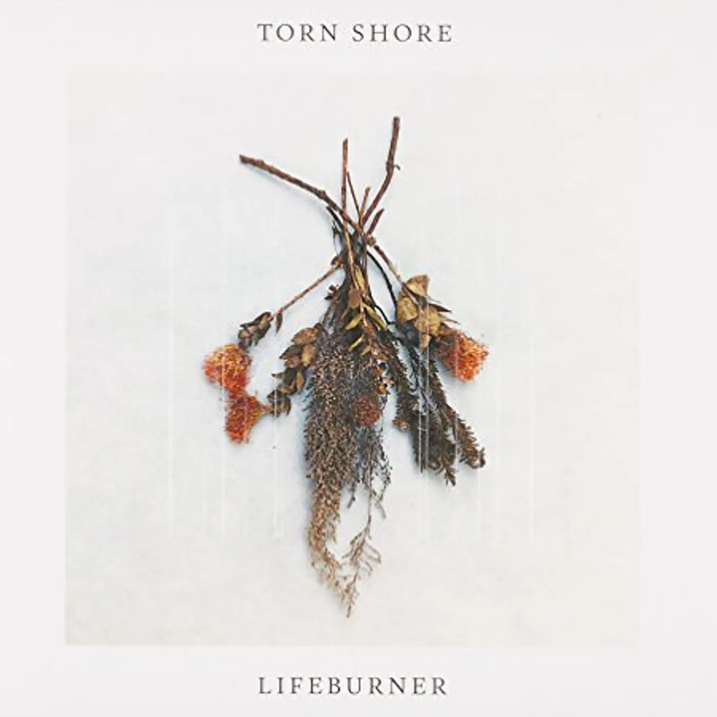 Torn Shore LIFEBURNER CD