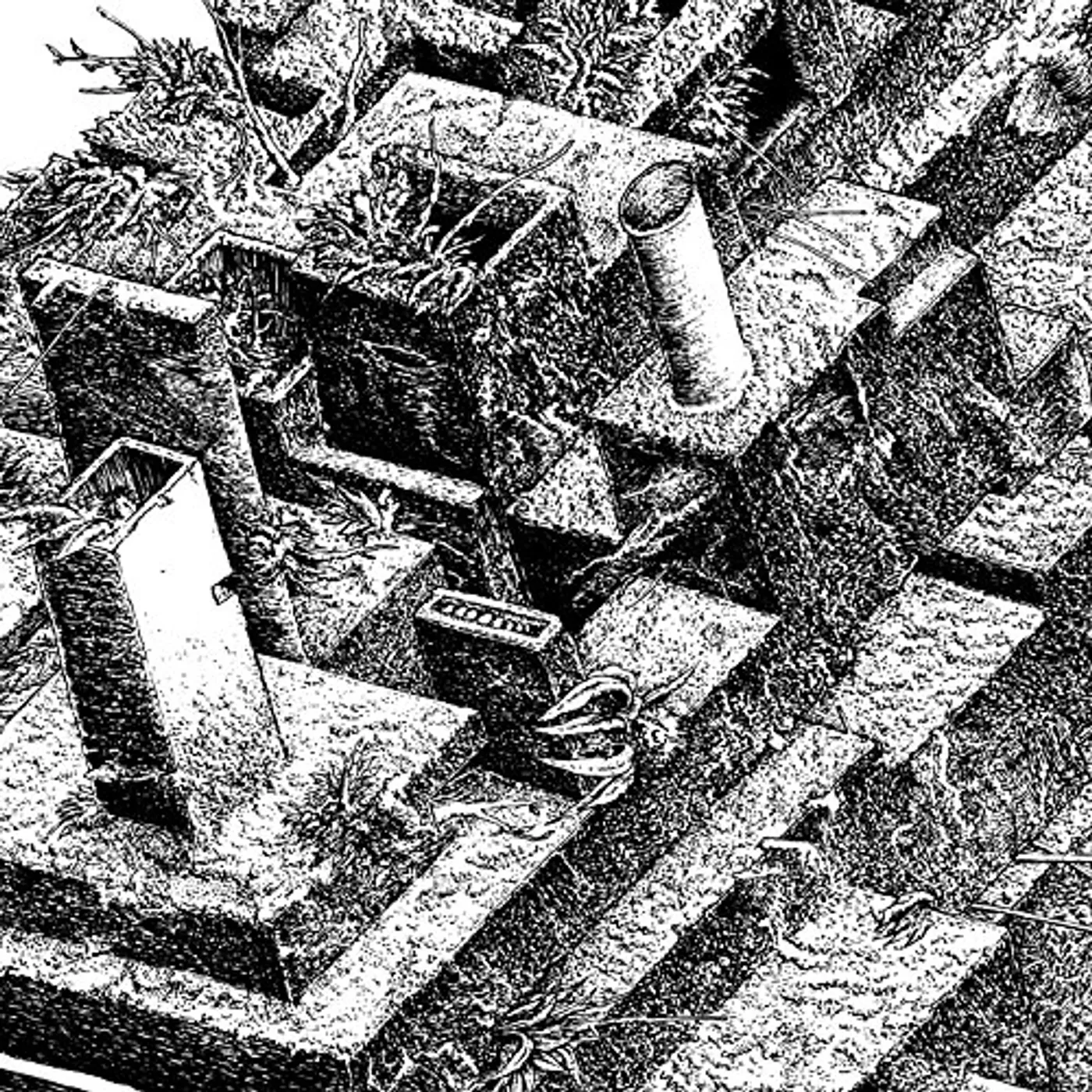 Alameda 5 DUCH TORNADA Vinyl Record