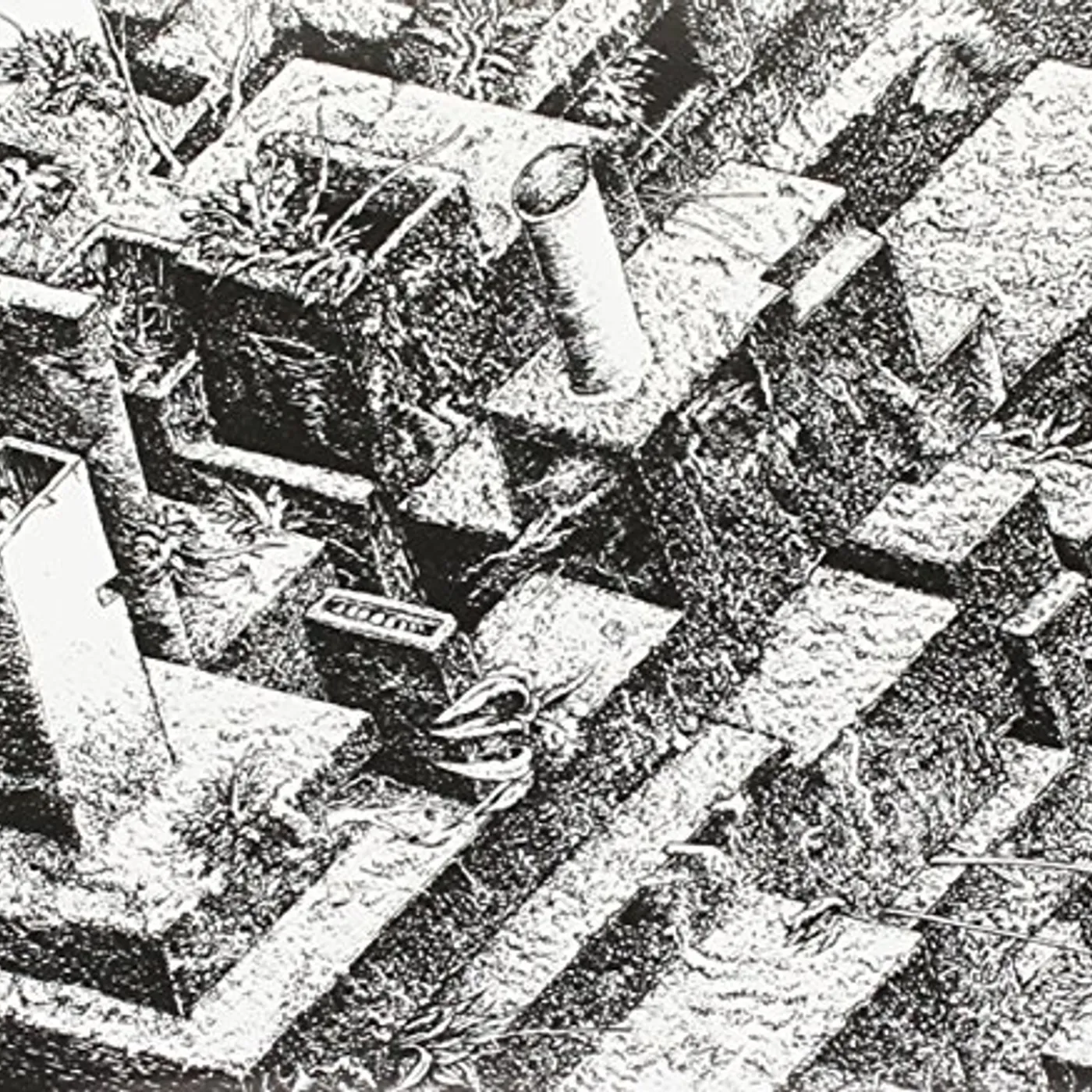 Alameda 5 DUCH TORNADA CD